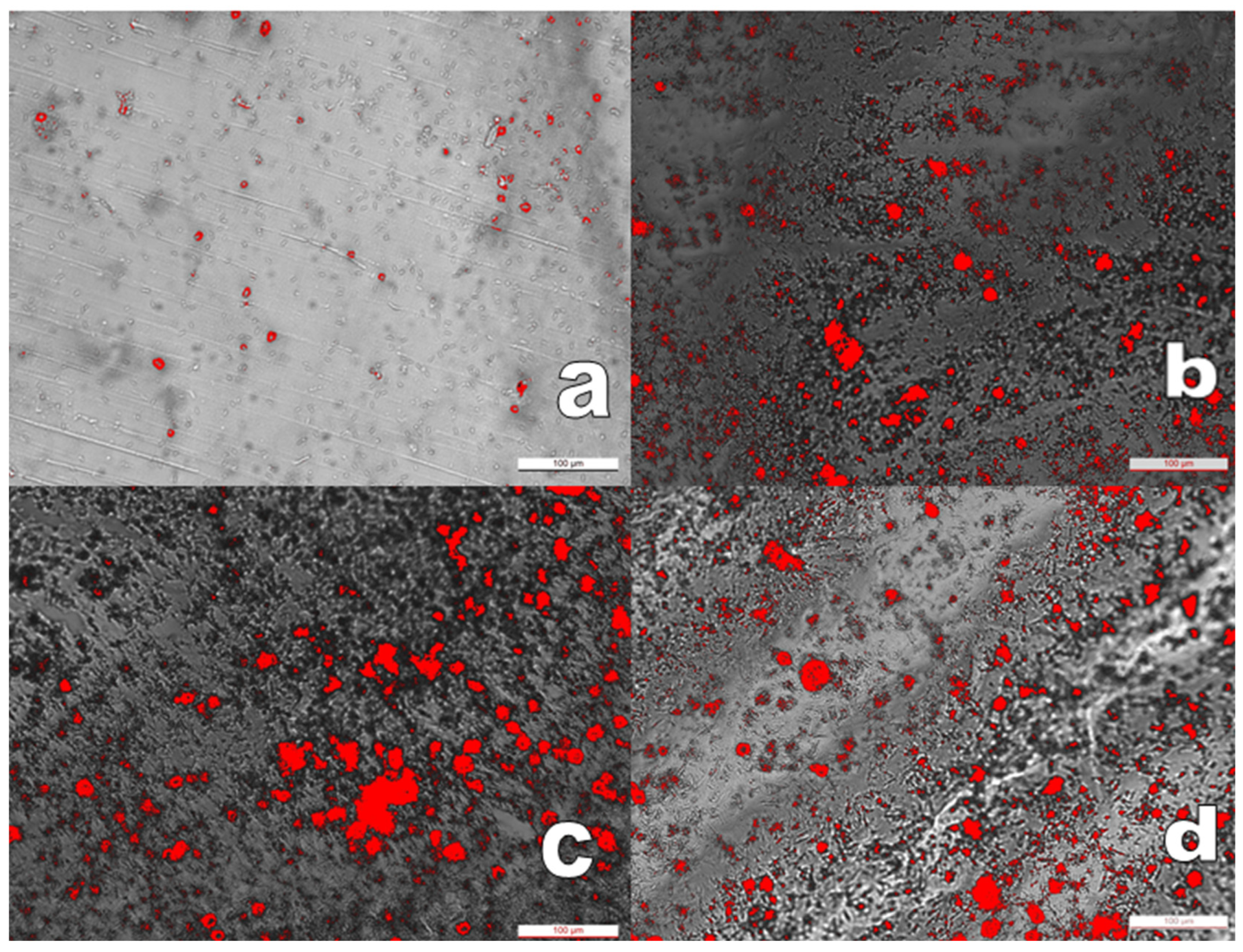 Preprints 214394 g006 Preprints 214394 g006
