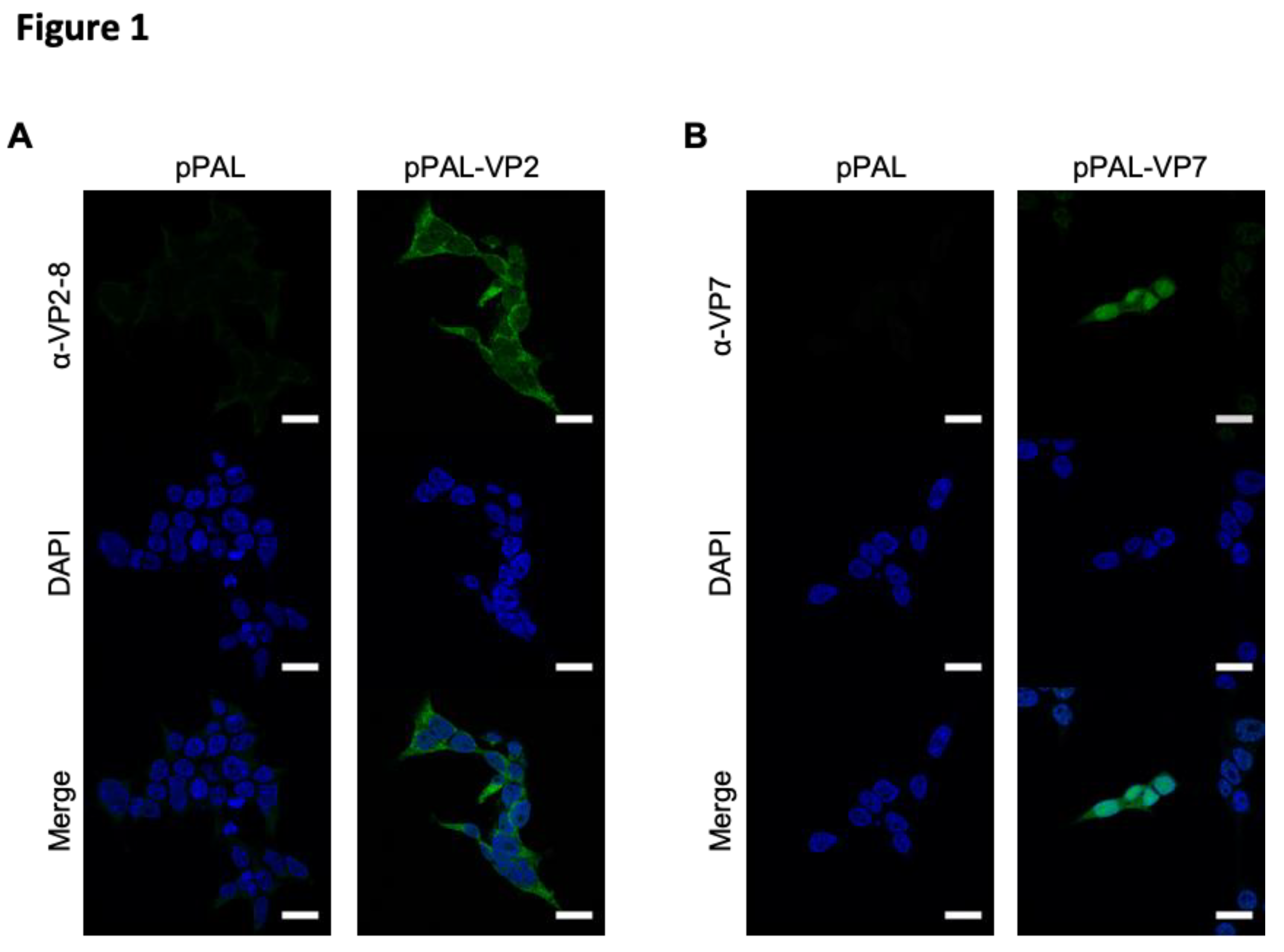 Preprints 154573 g001