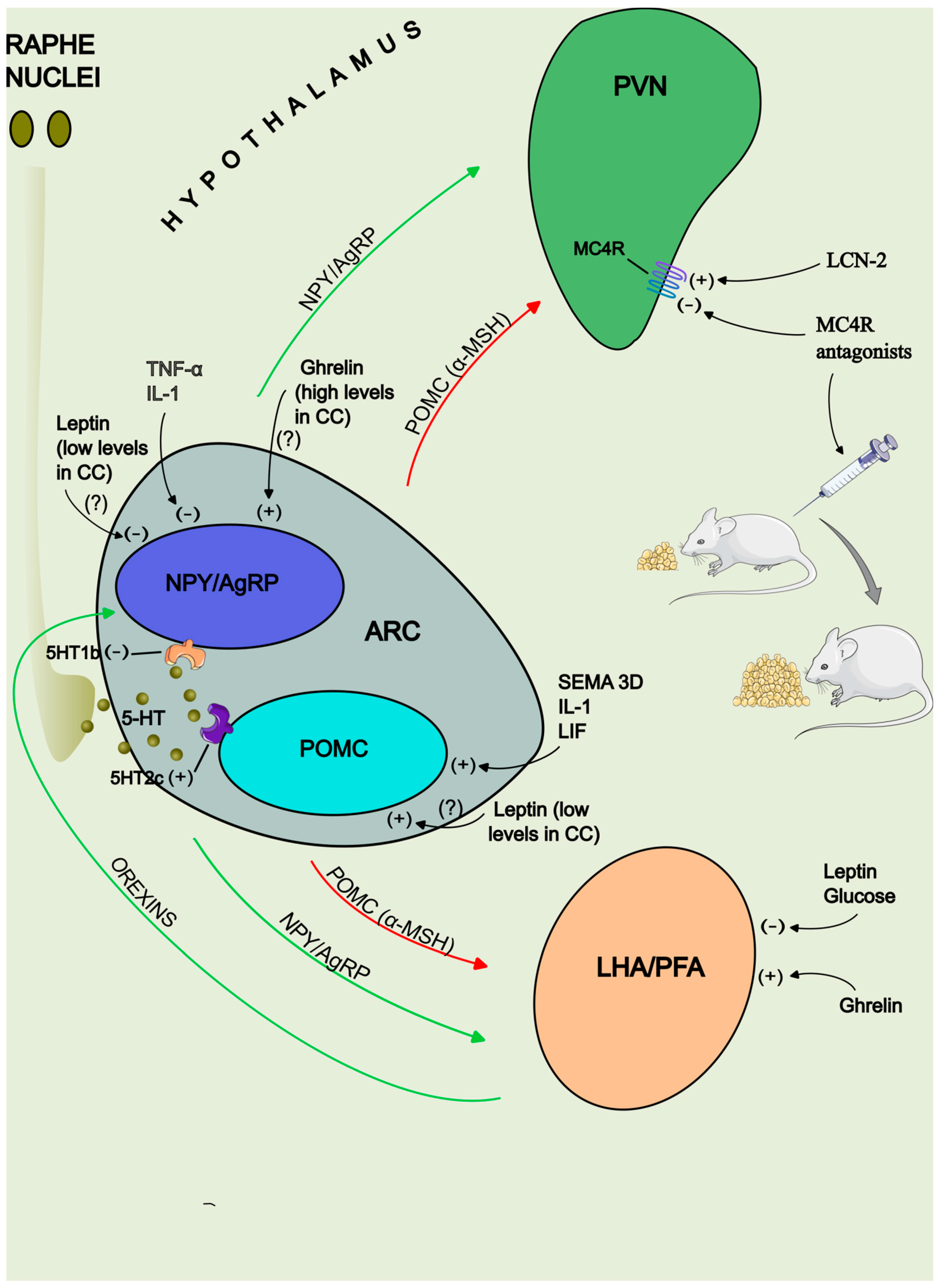 Preprints 140142 g002