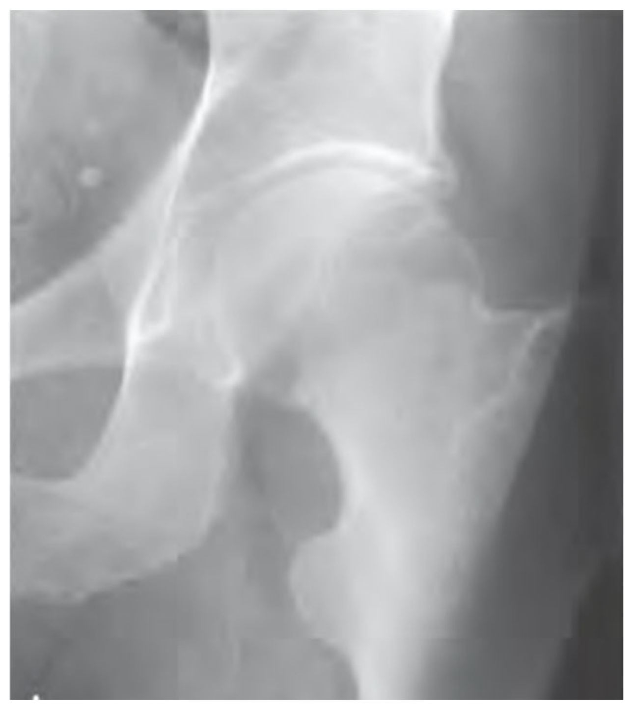 Preprints 153743 g001