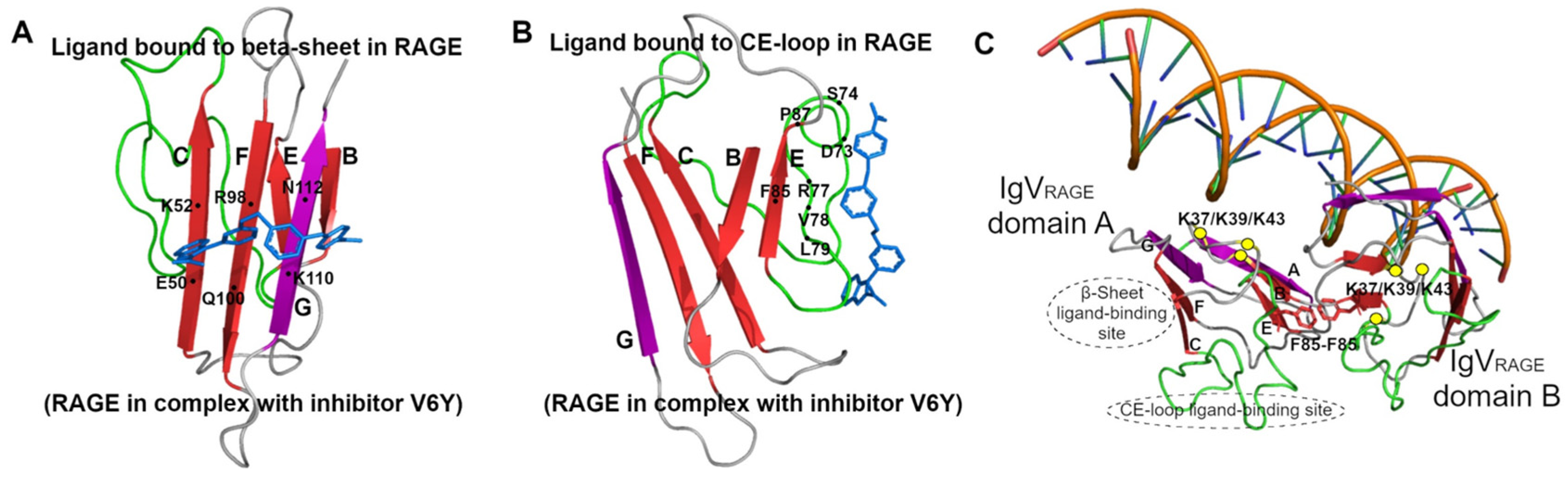 Preprints 181466 g004