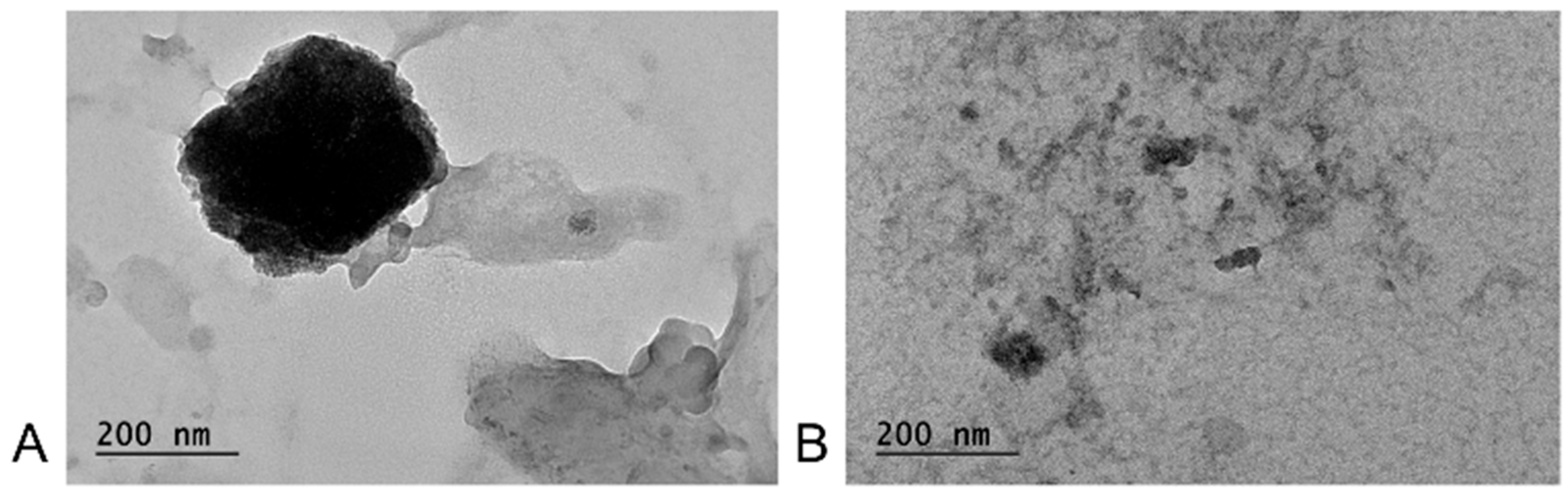 Preprints 194392 g013