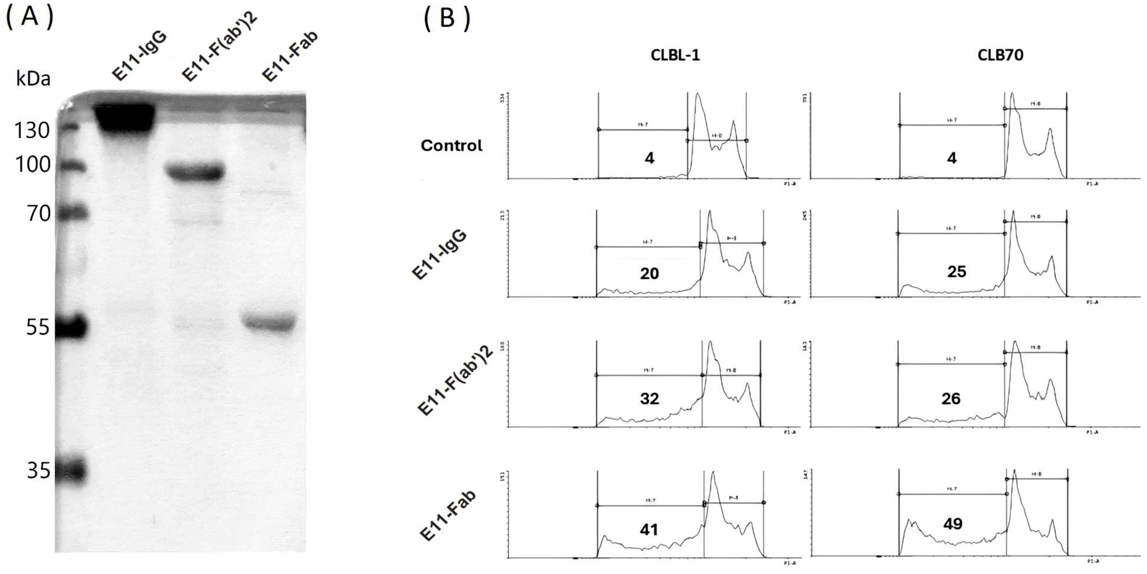 Preprints 183018 g001