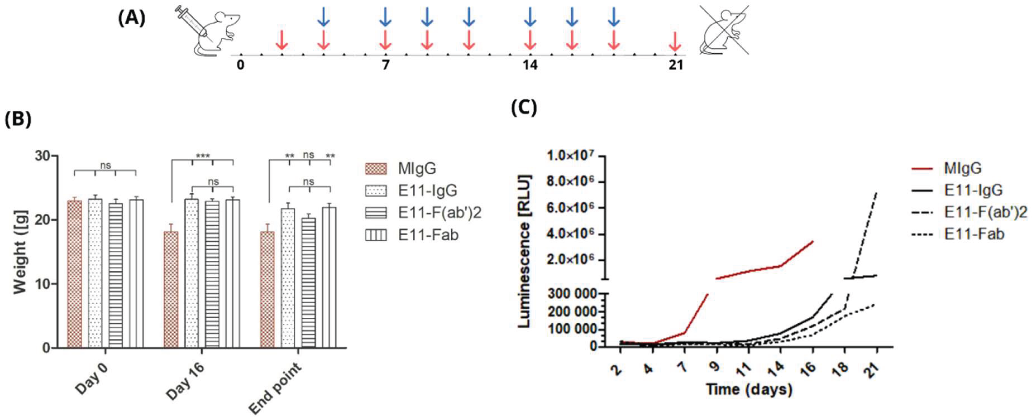 Preprints 183018 g003