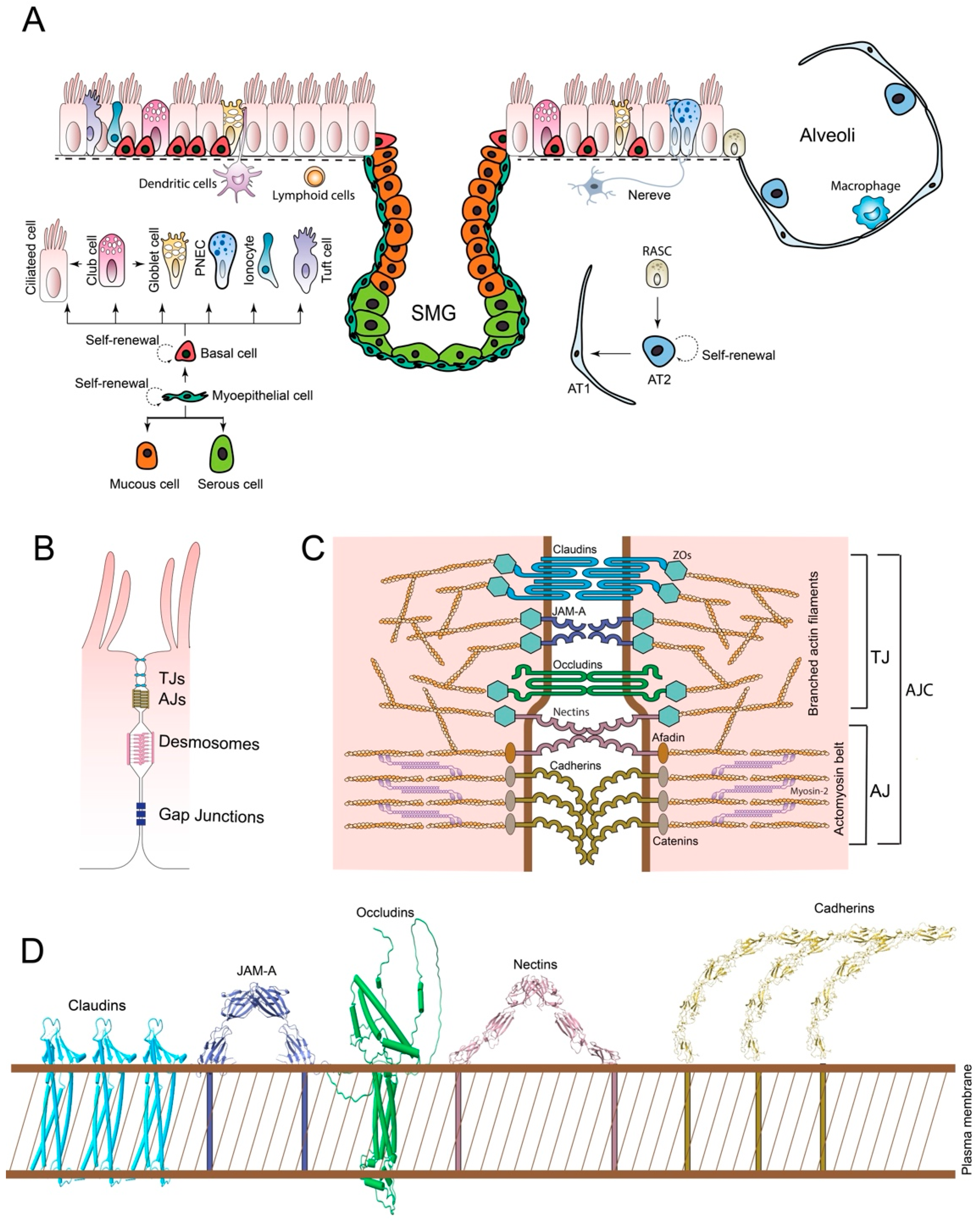 Preprints 171178 g001