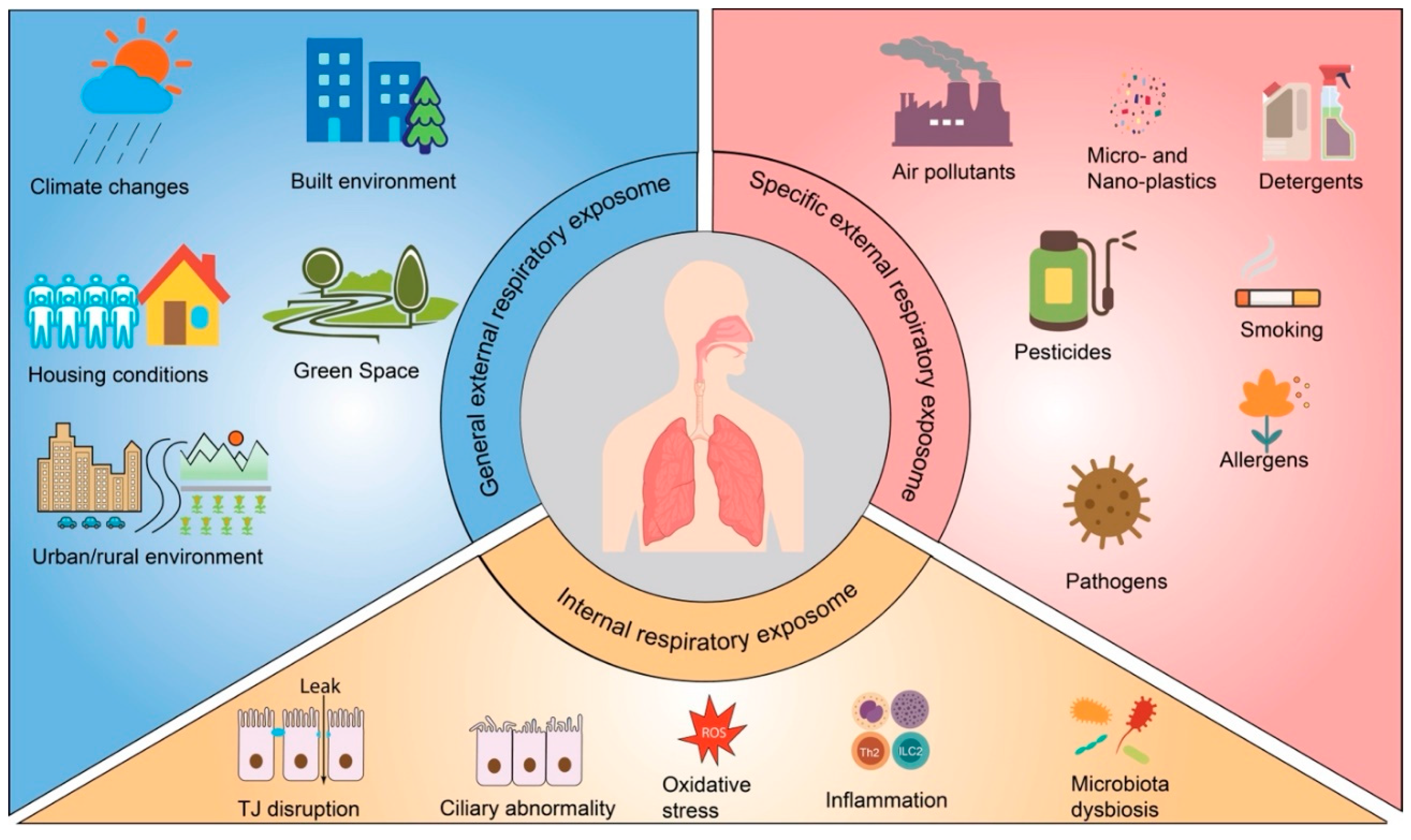Preprints 171178 g002