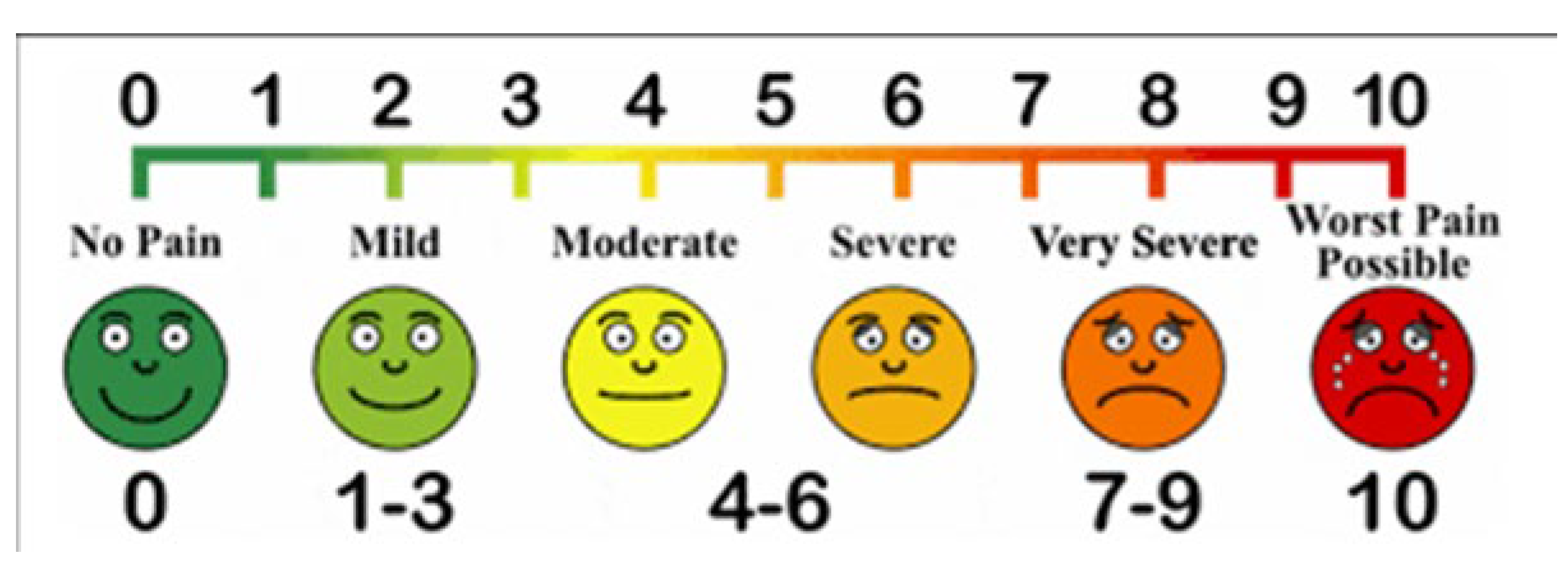 Preprints 156663 g002