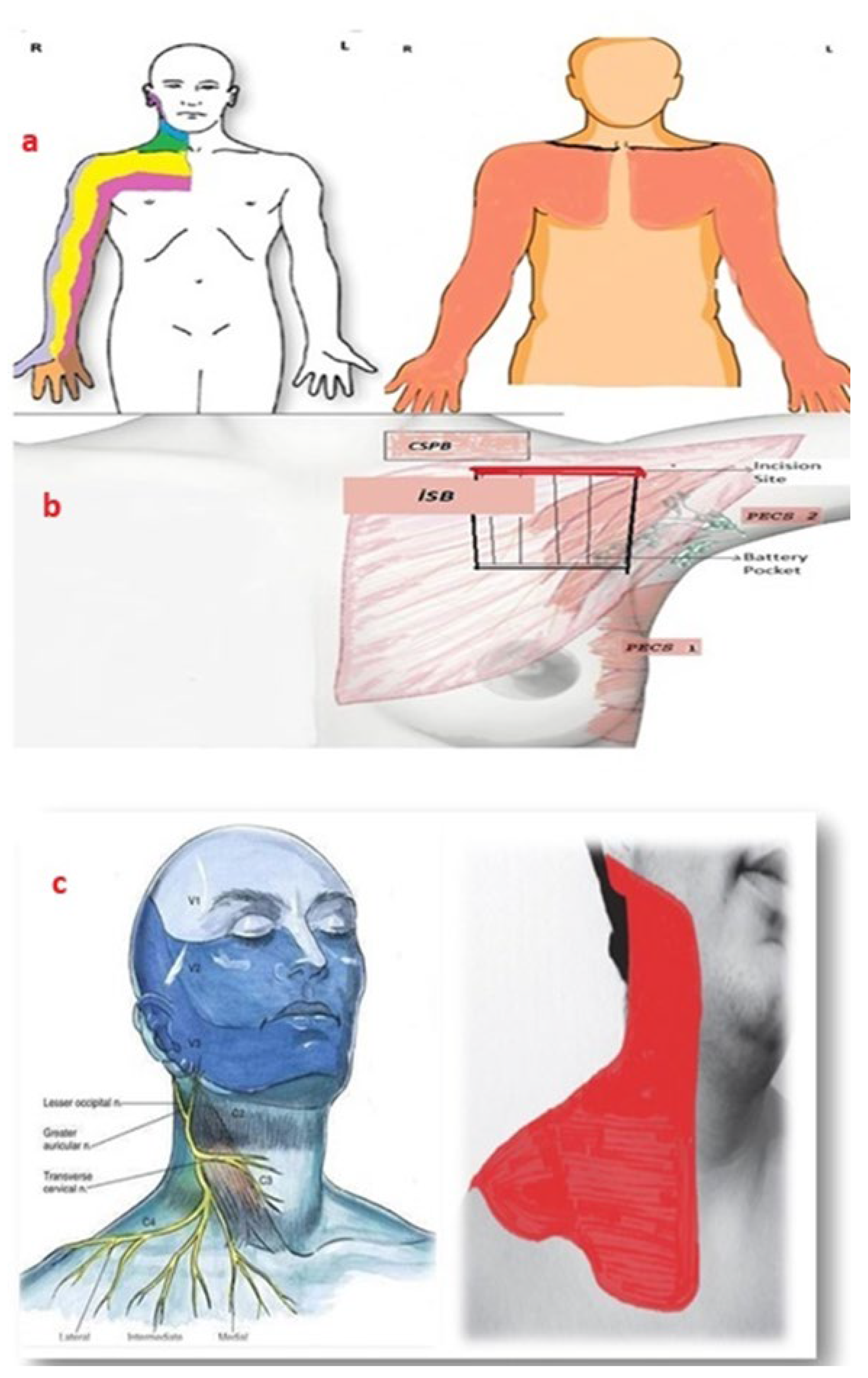 Preprints 156663 g003