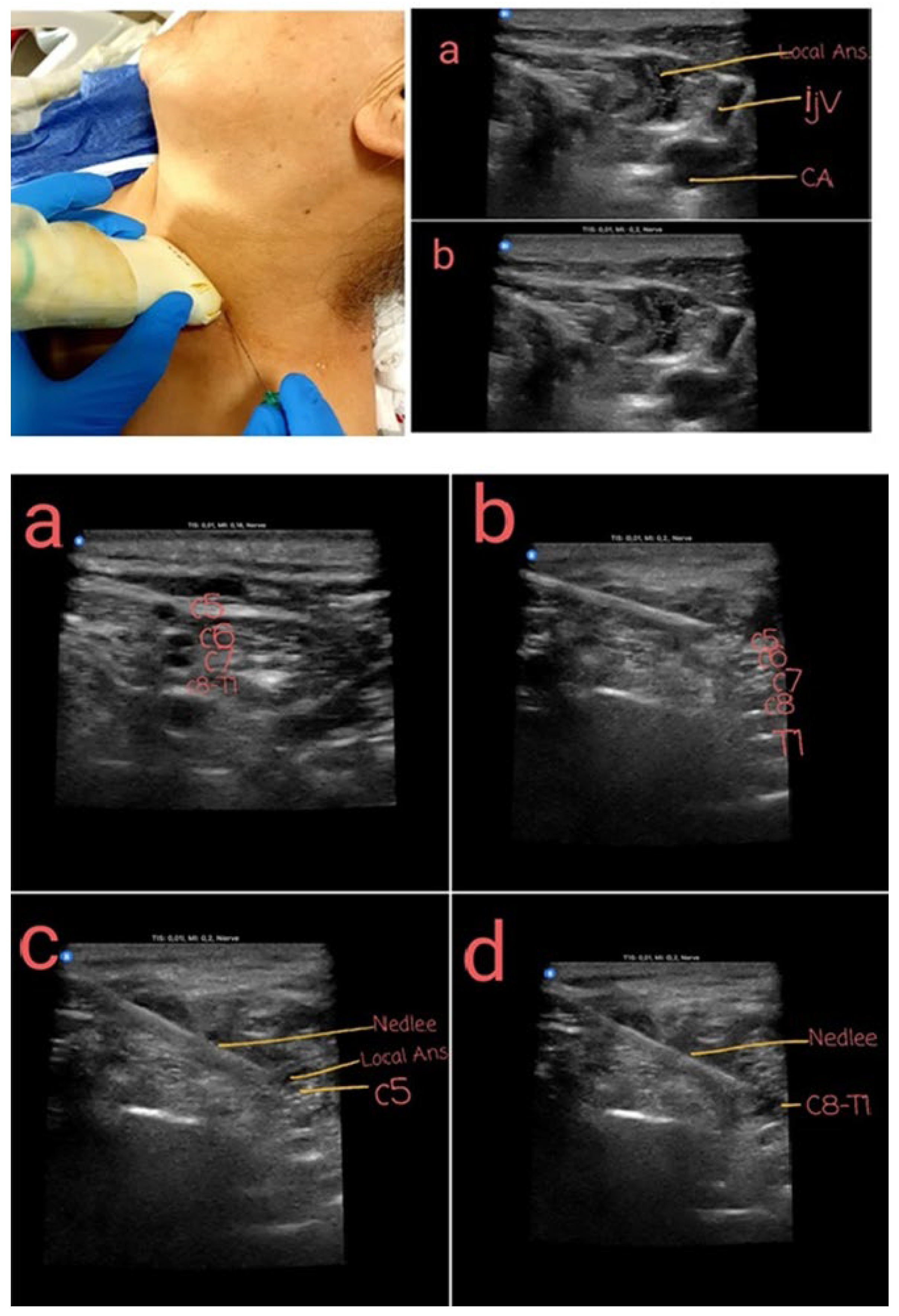 Preprints 156663 g004