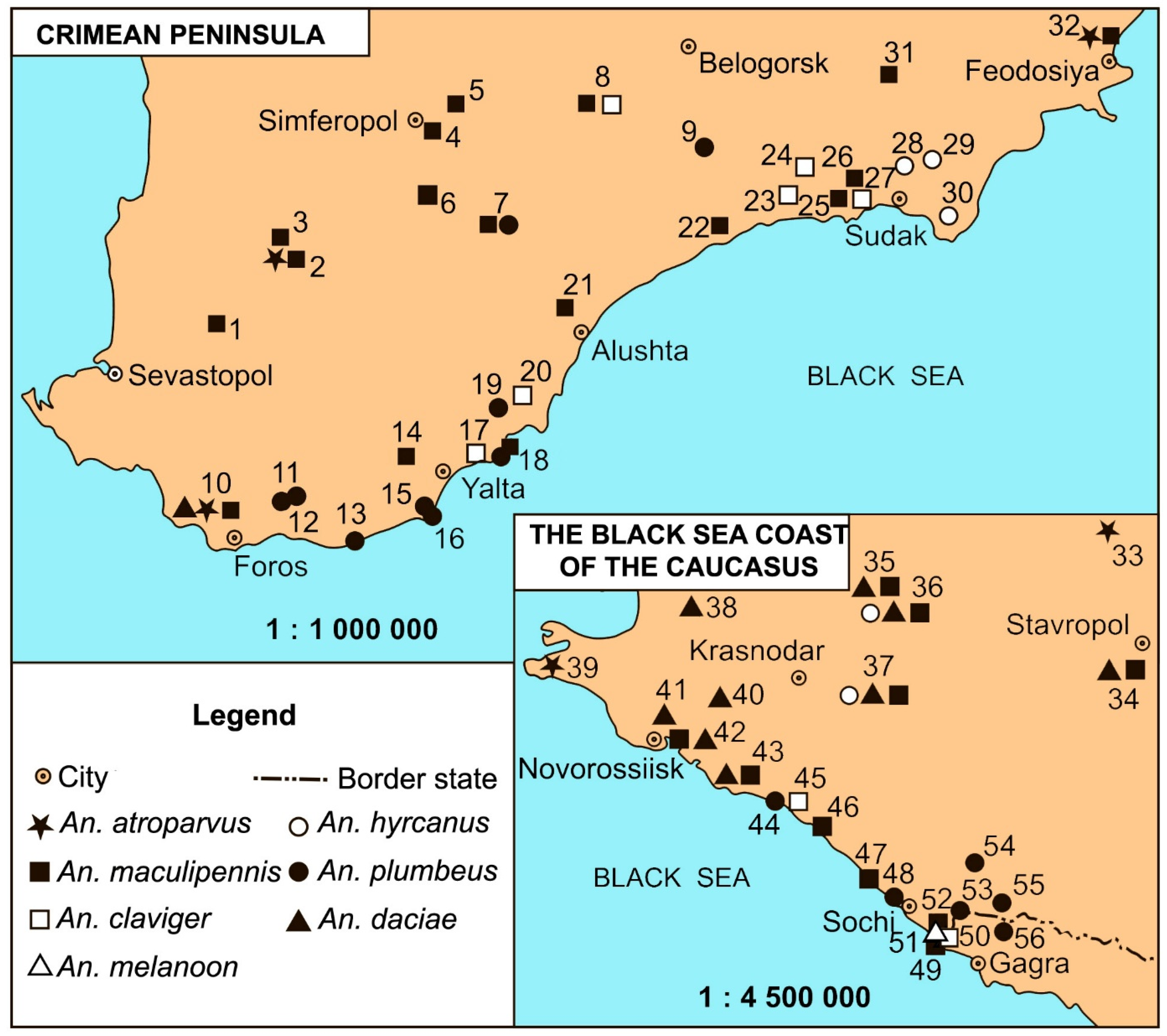 Preprints 147821 g001