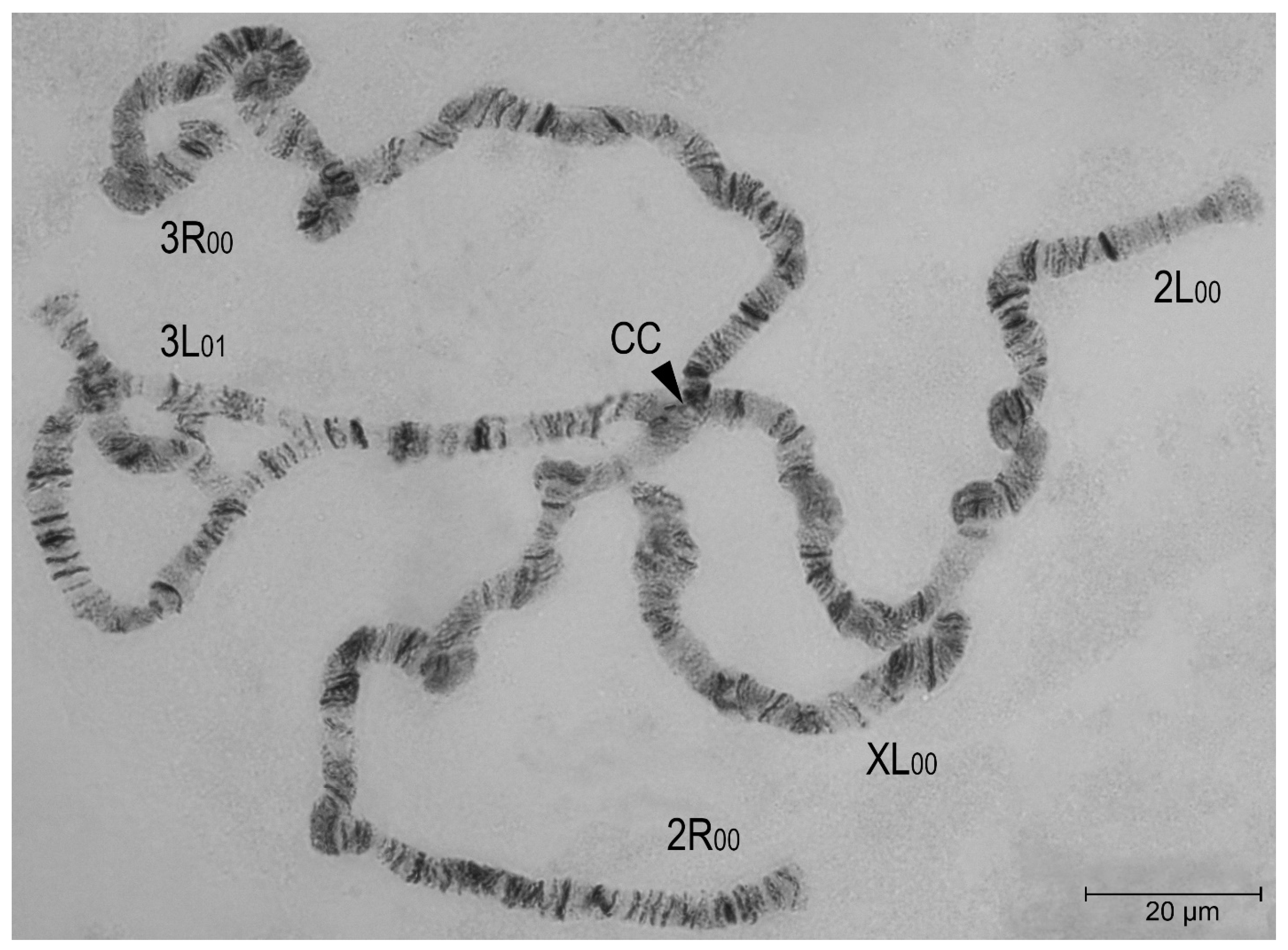 Preprints 147821 g004