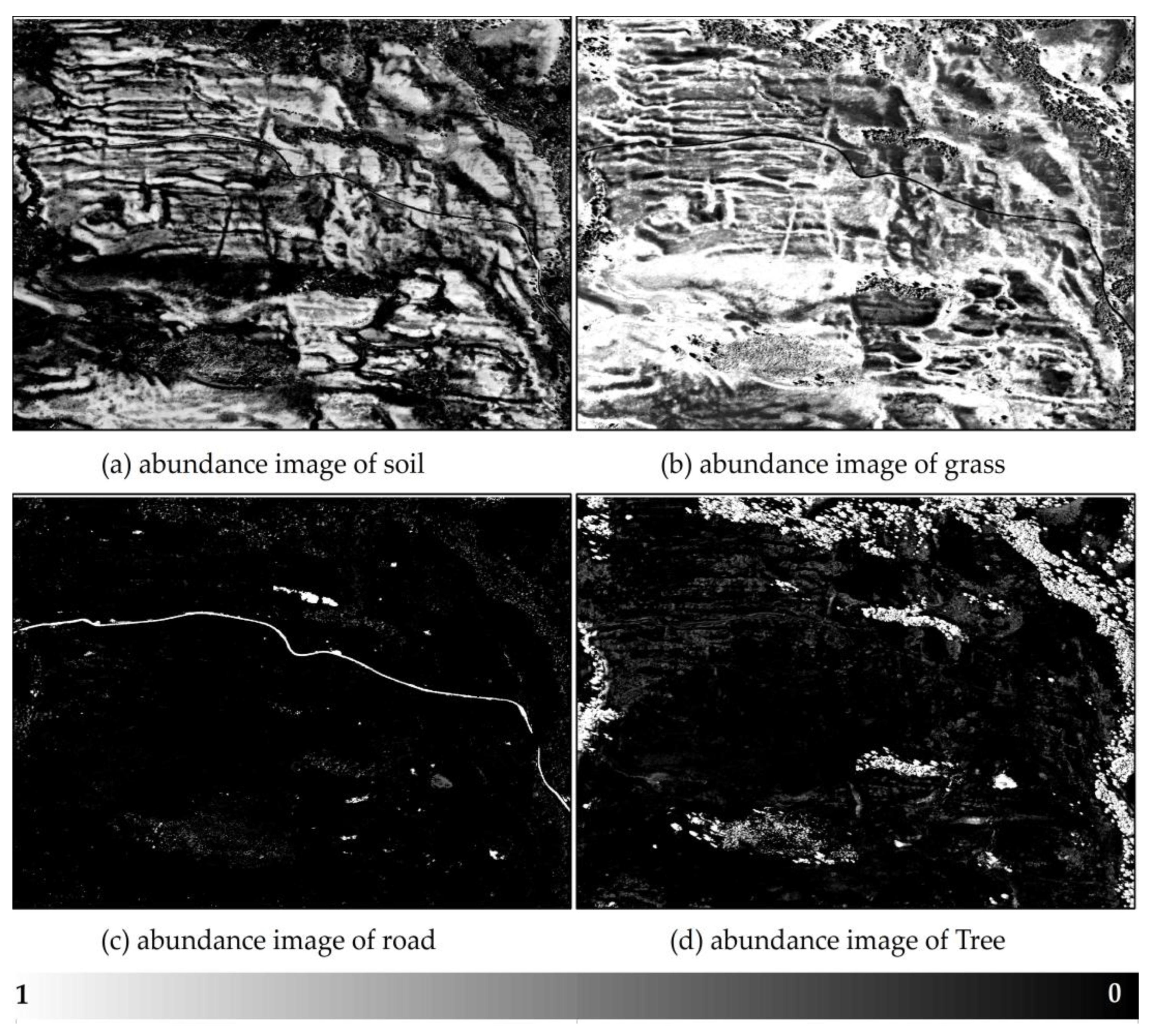 Preprints 158016 g005