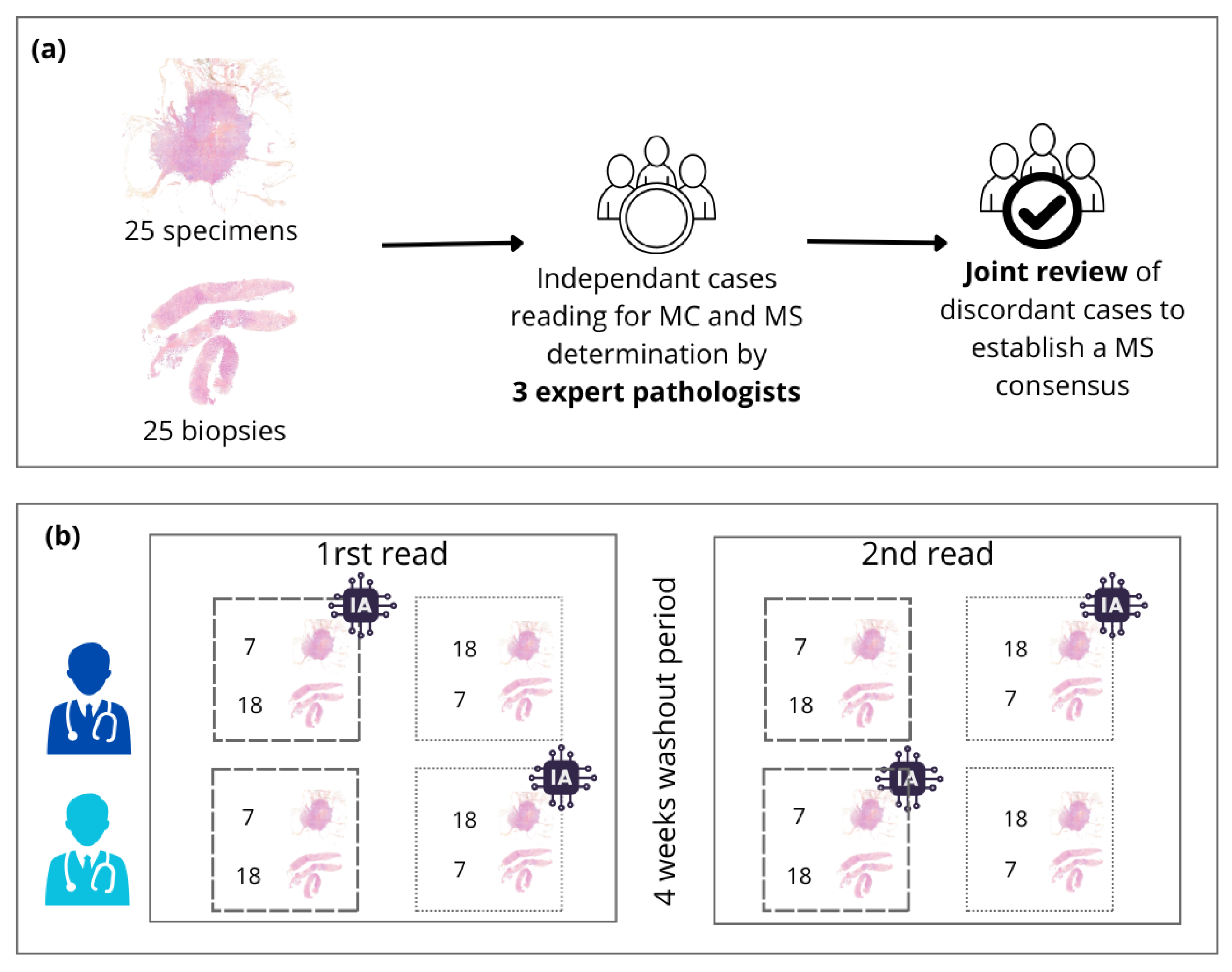 Preprints 156969 g002