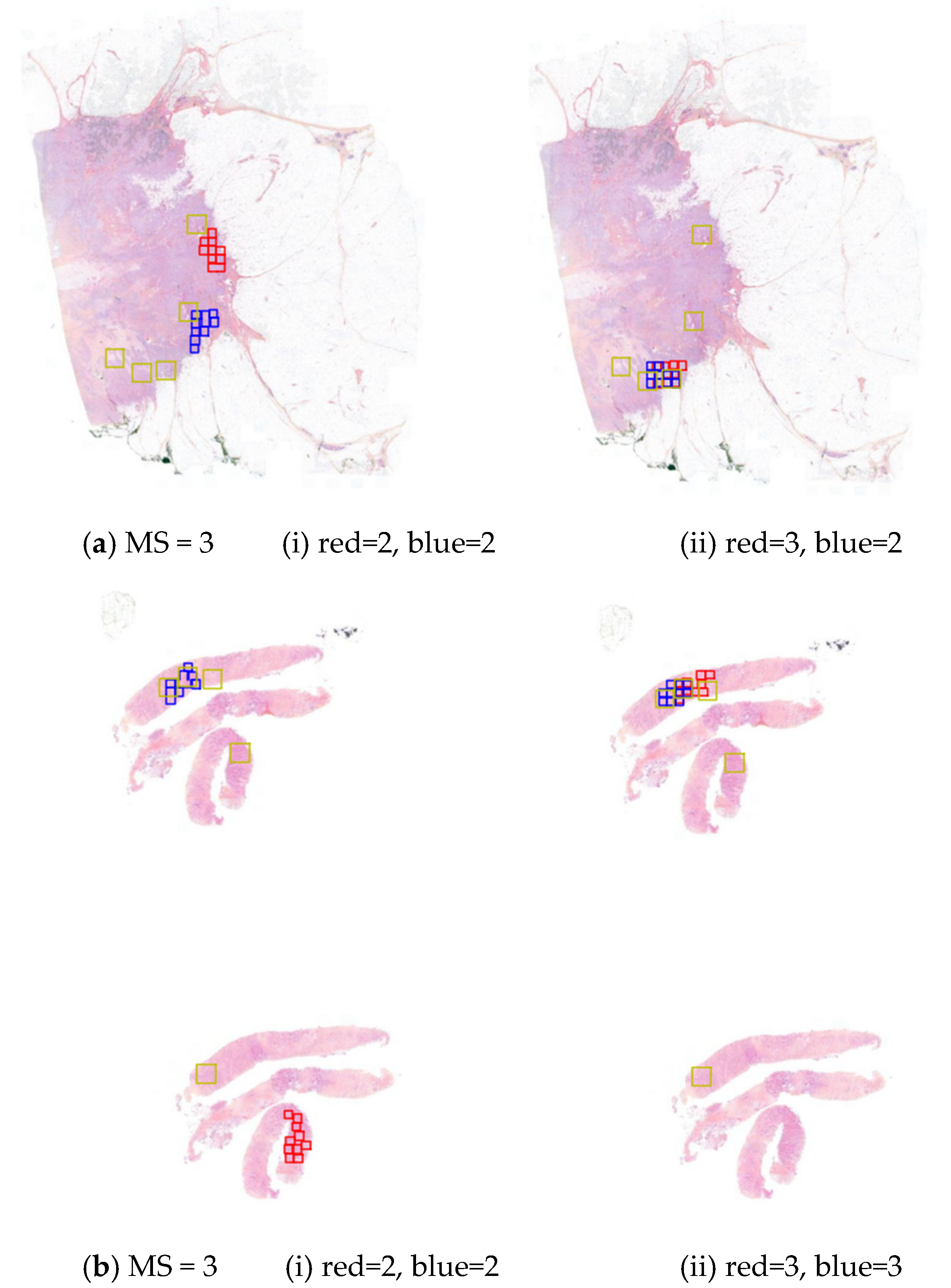 Preprints 156969 g004