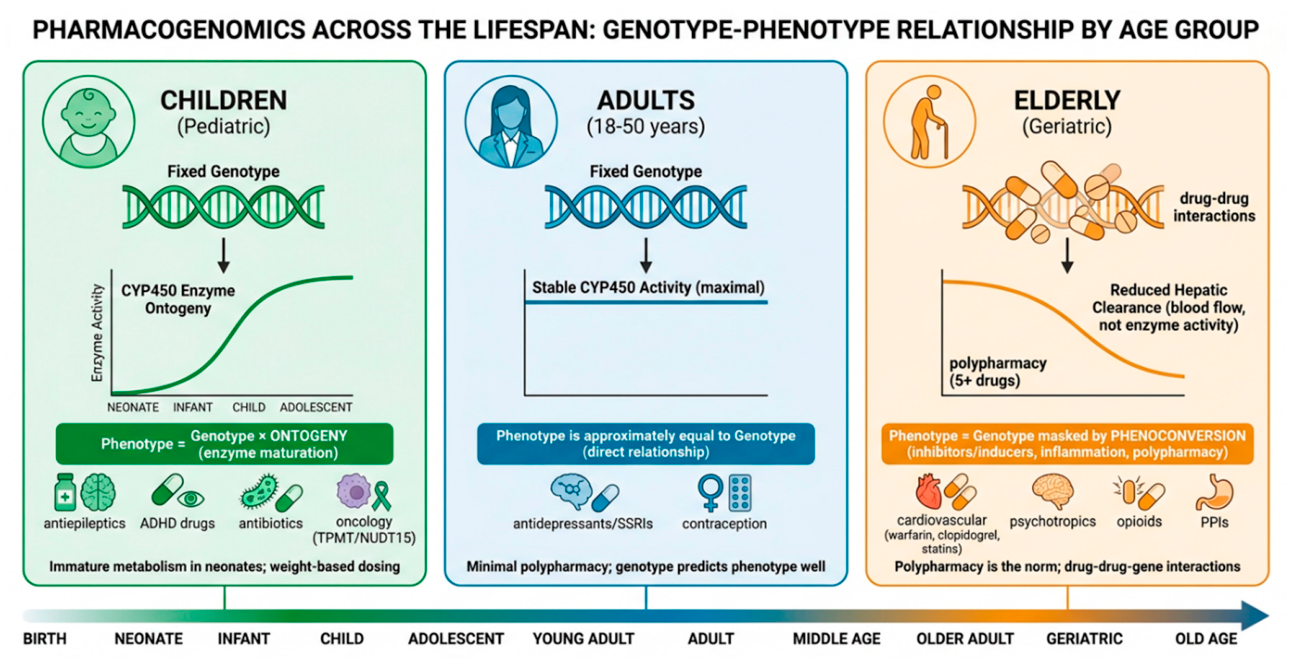 Preprints 230528 g001
