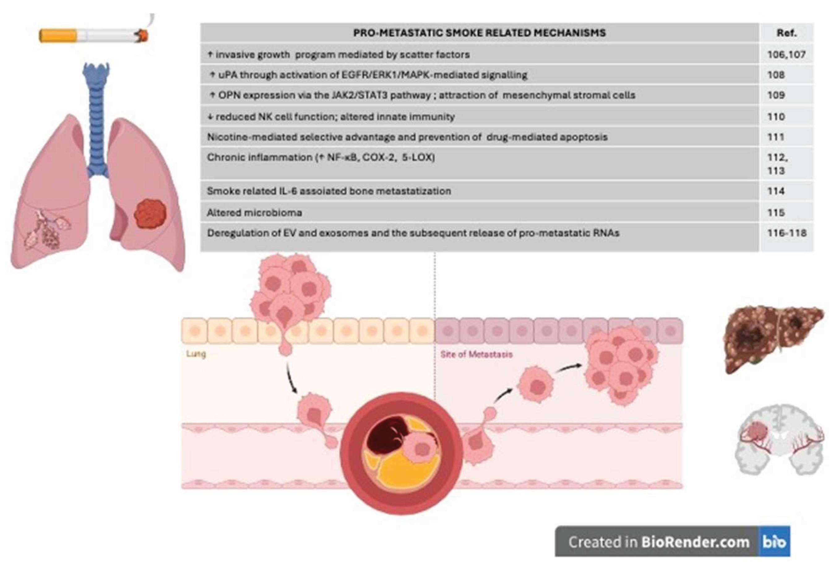 Preprints 162502 g001