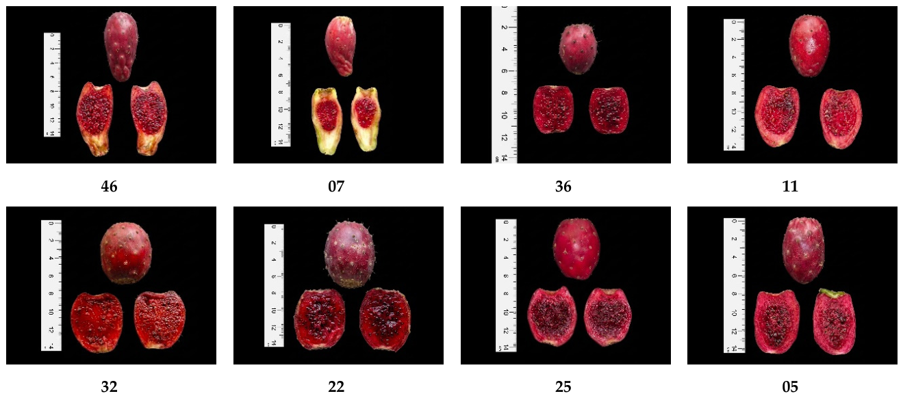 Preprints 221162 g006