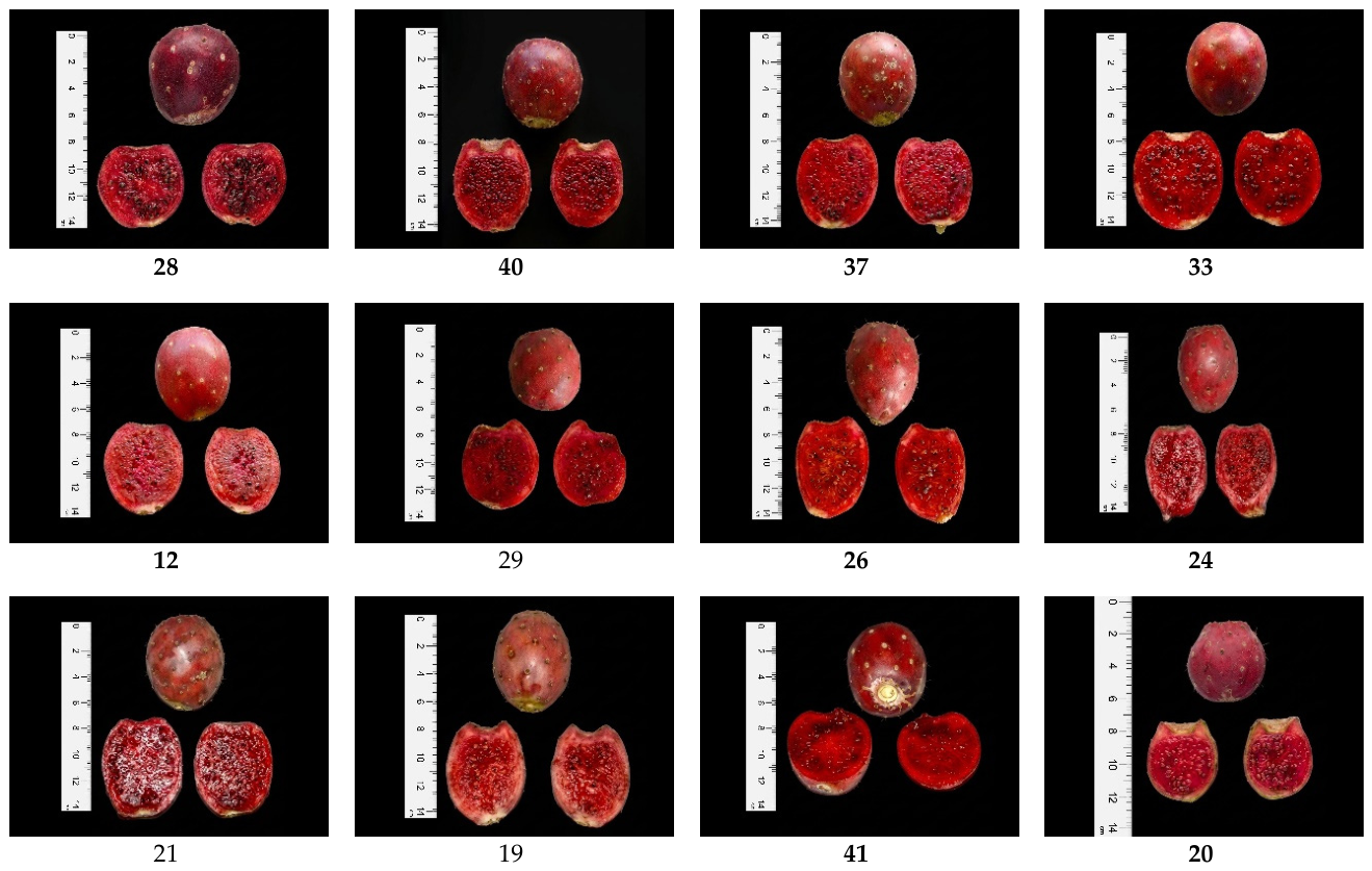 Preprints 221162 g007a
