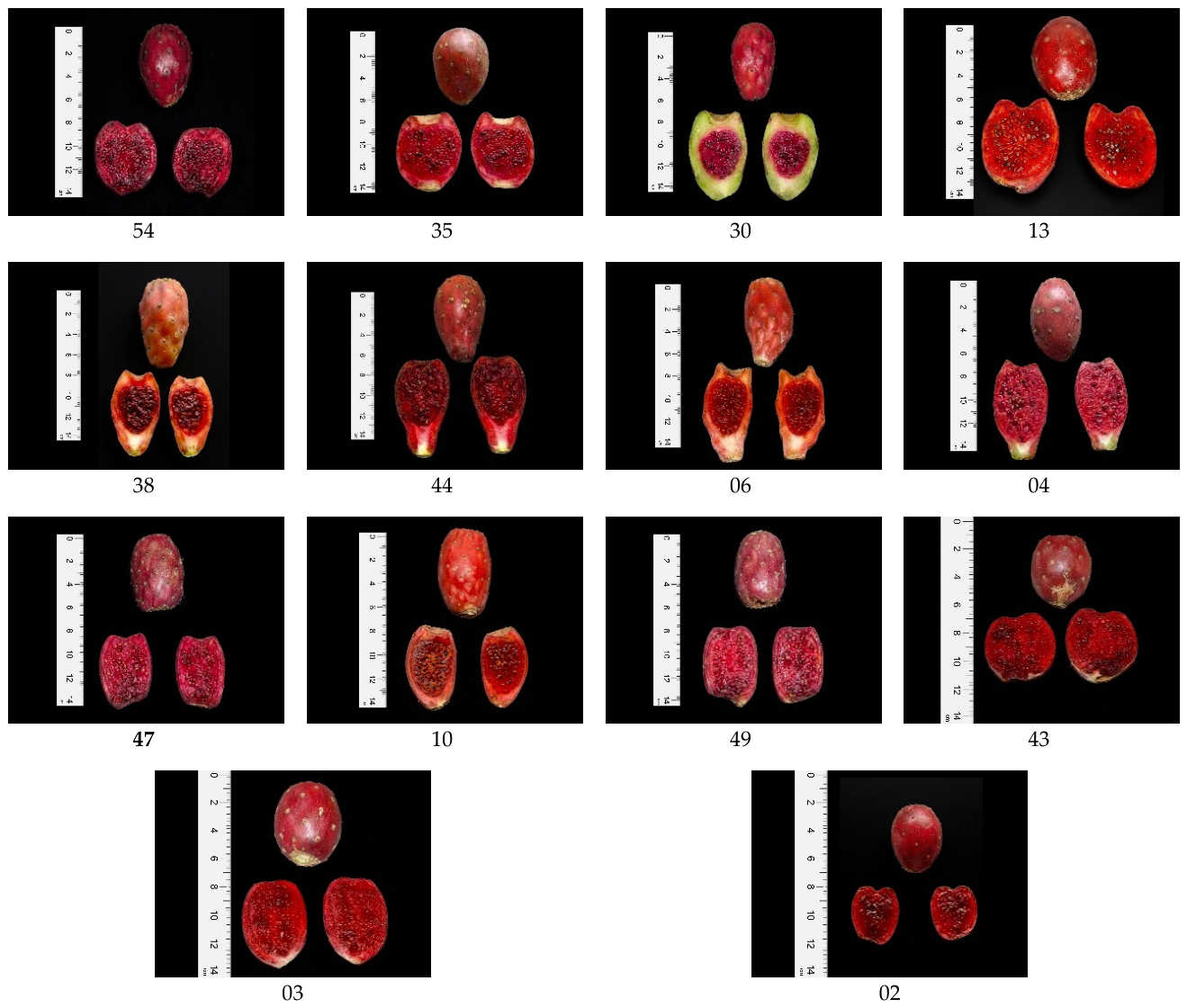 Preprints 221162 g007b