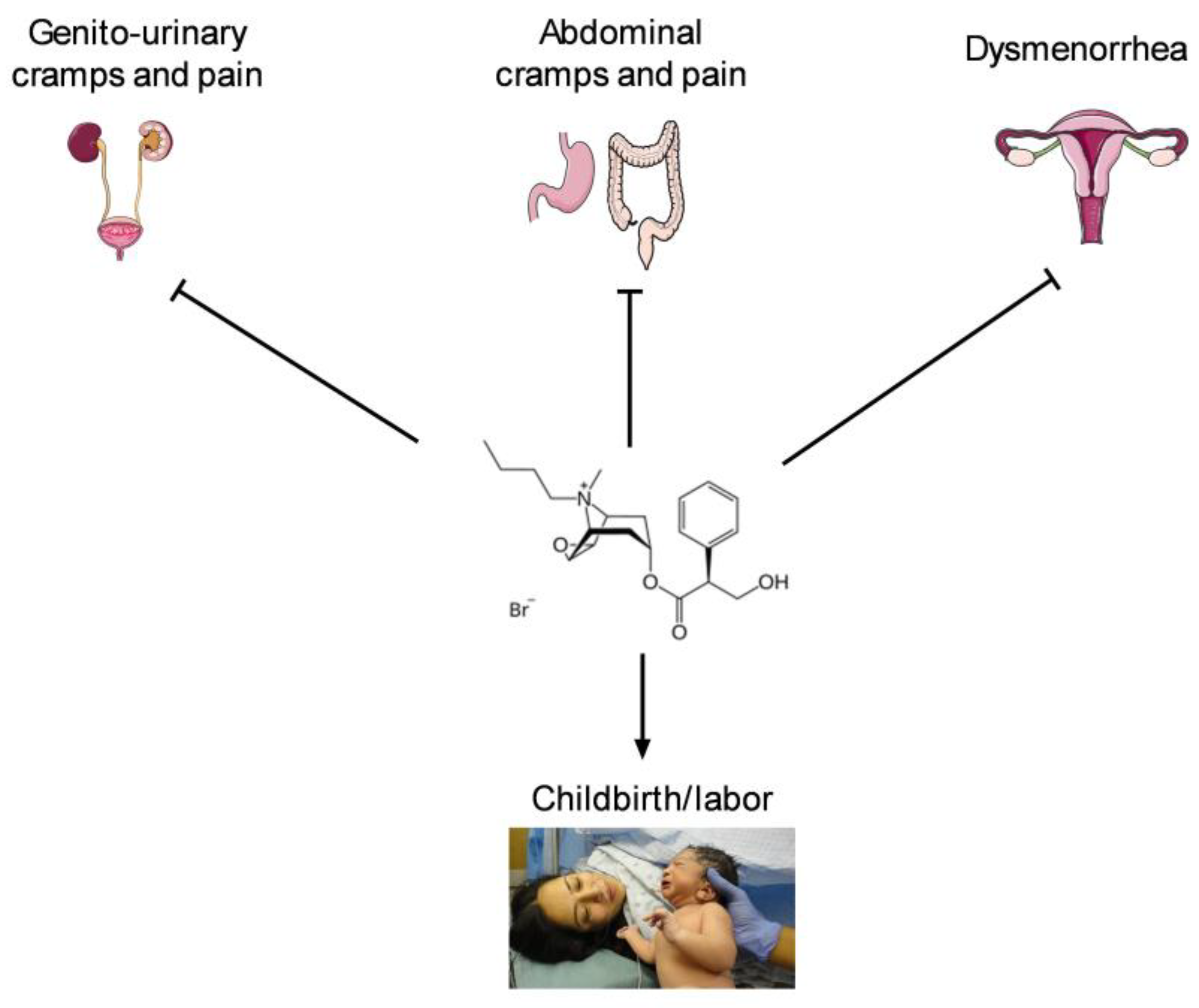 Preprints 153539 g002
