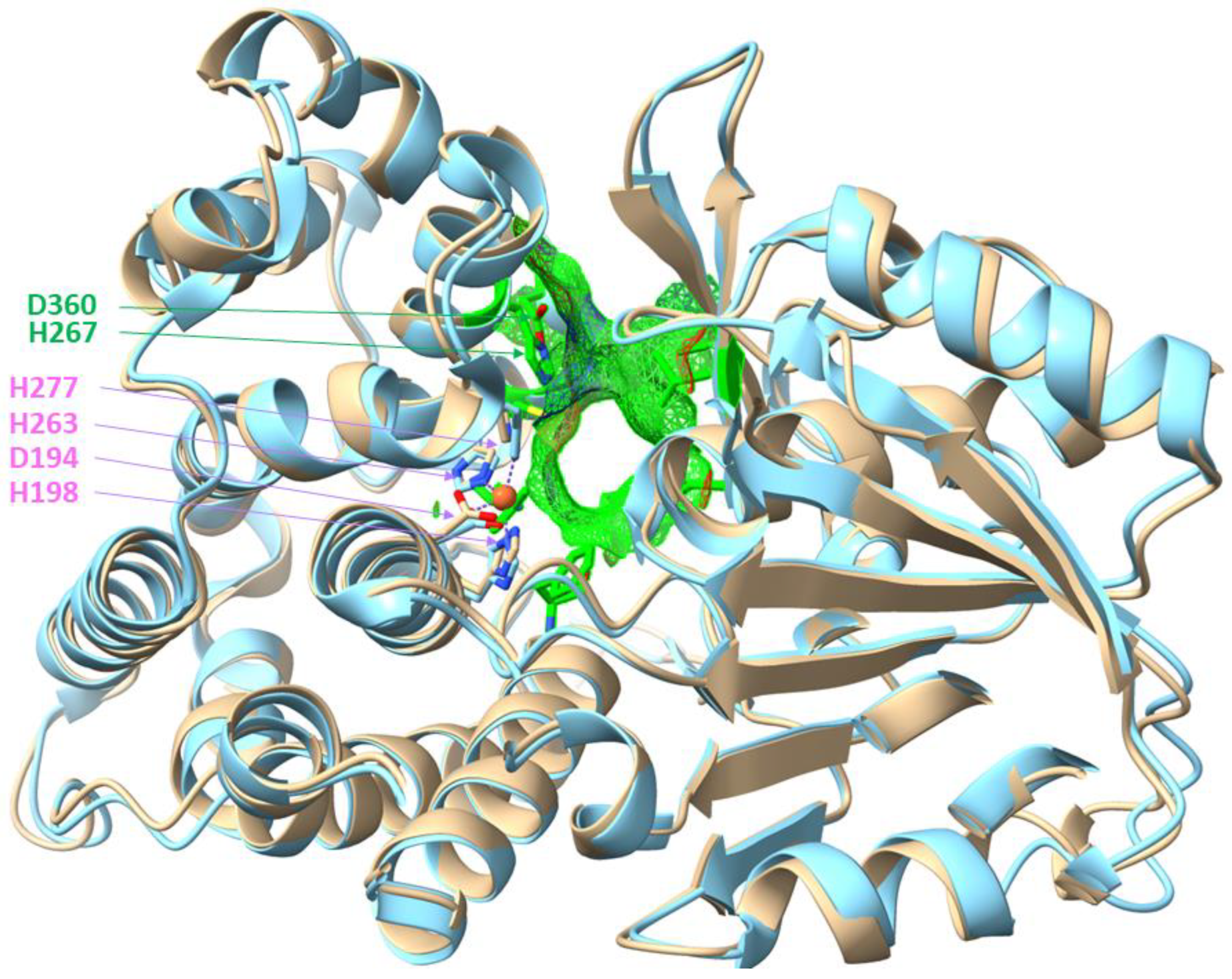 Preprints 166443 g007