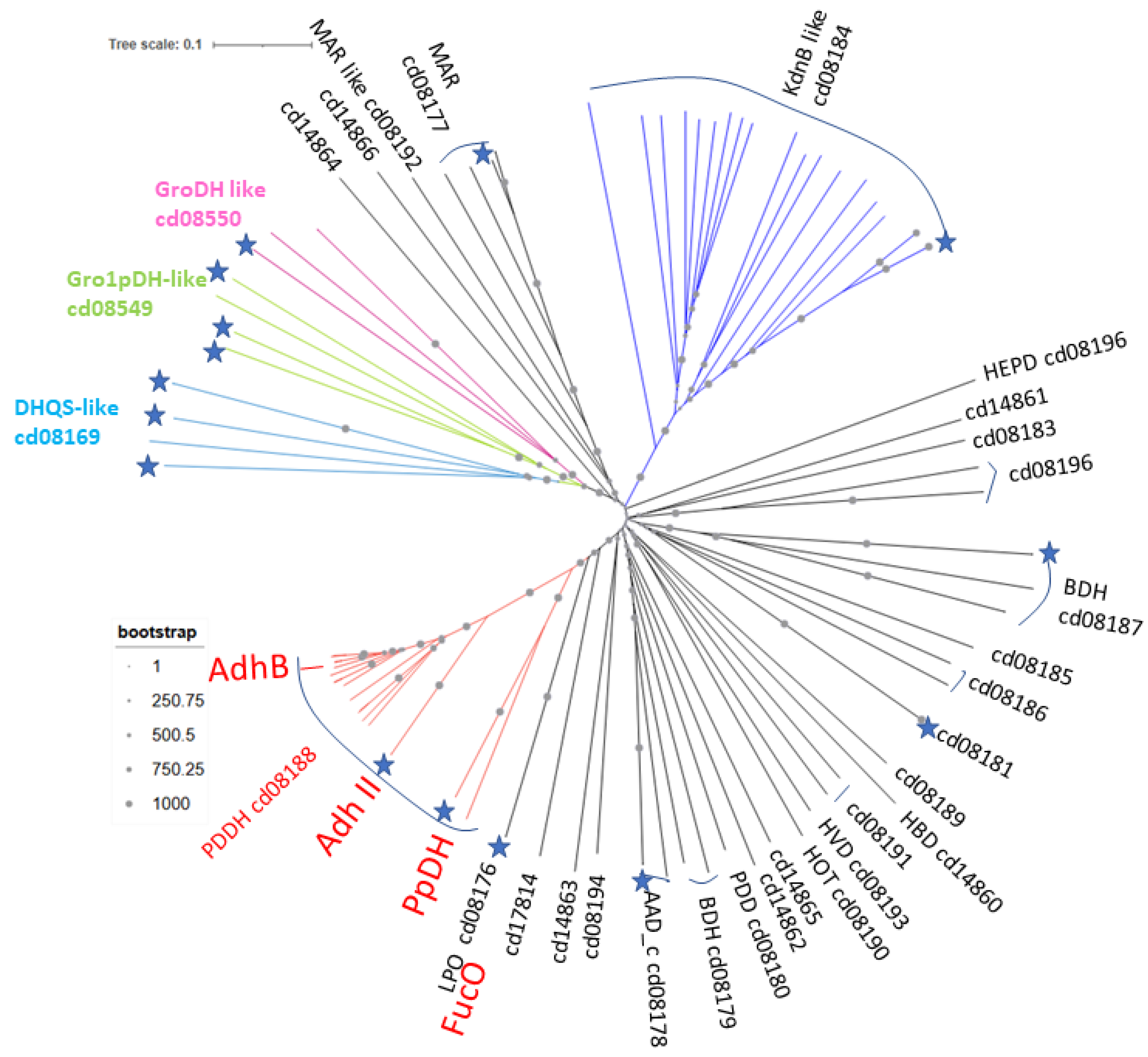 Preprints 166443 g008