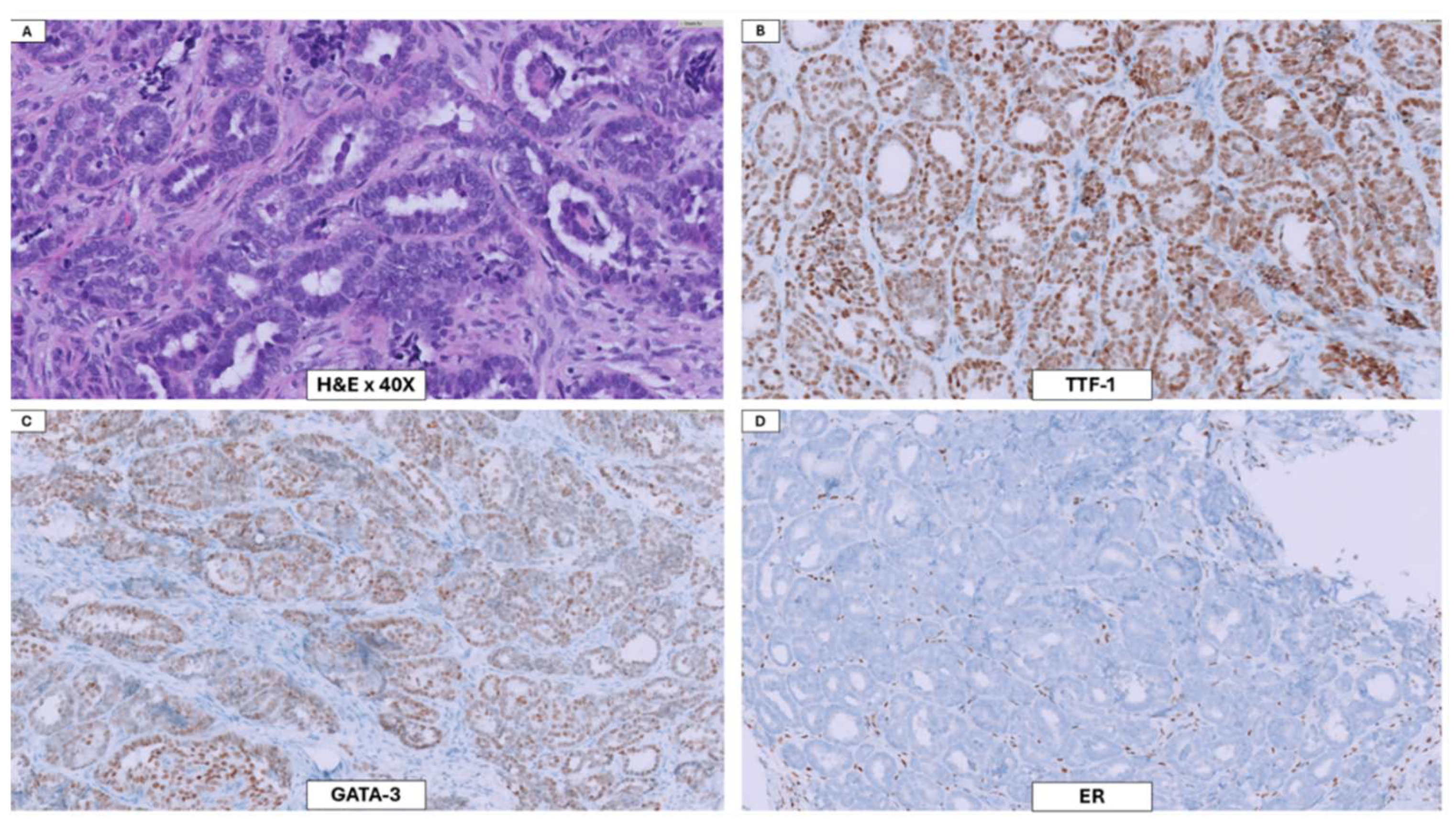Preprints 193154 g001