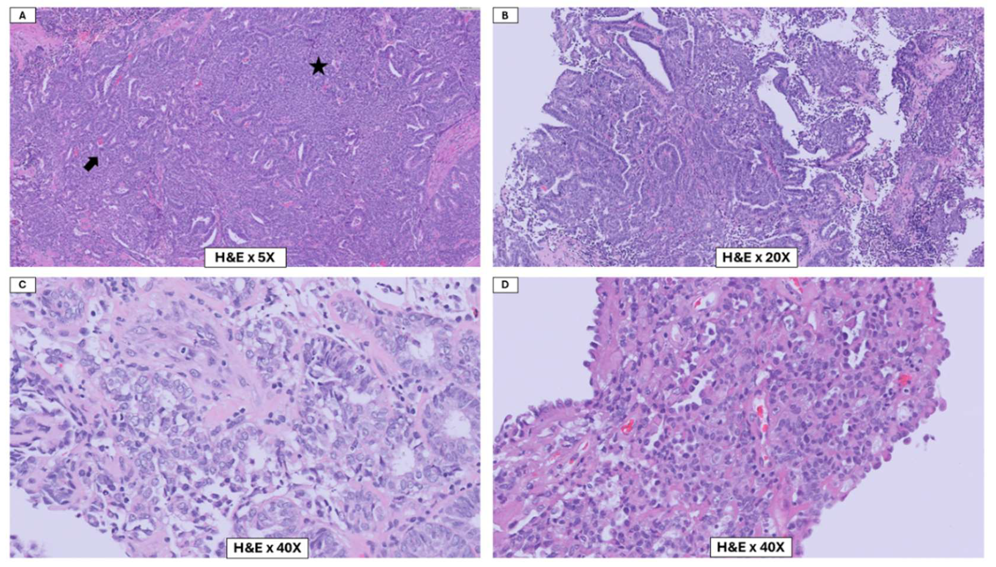 Preprints 193154 g002