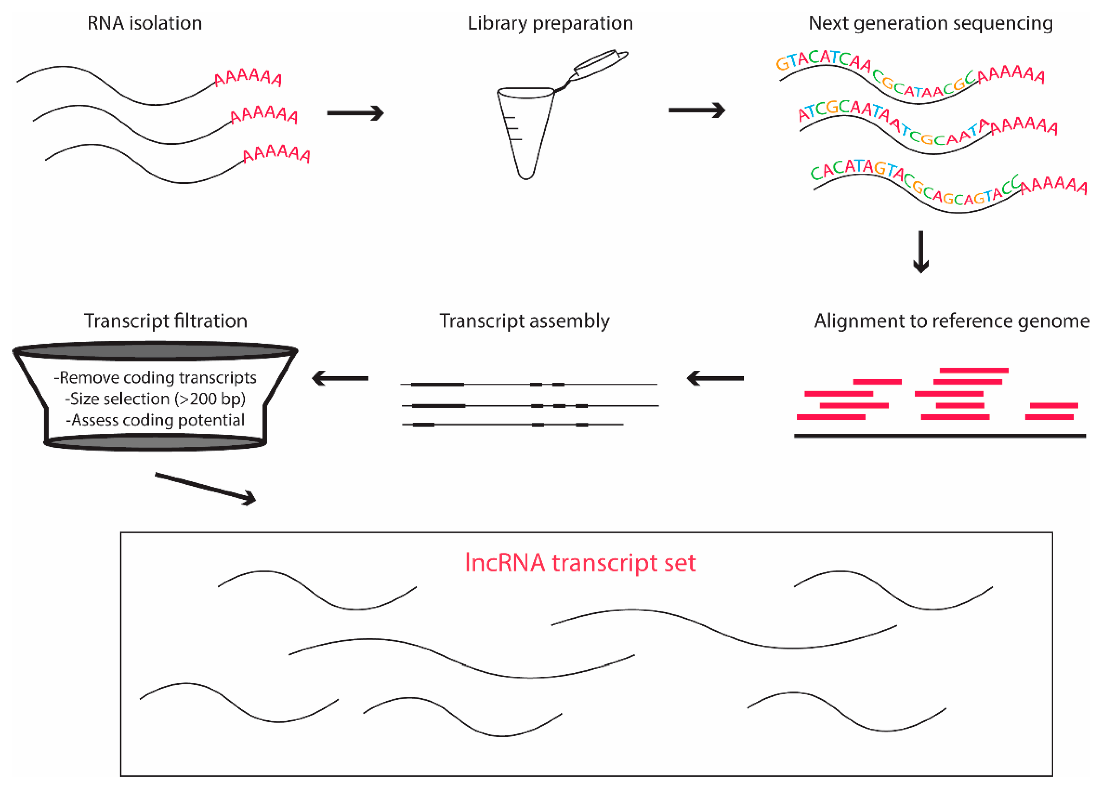 Preprints 138073 g001