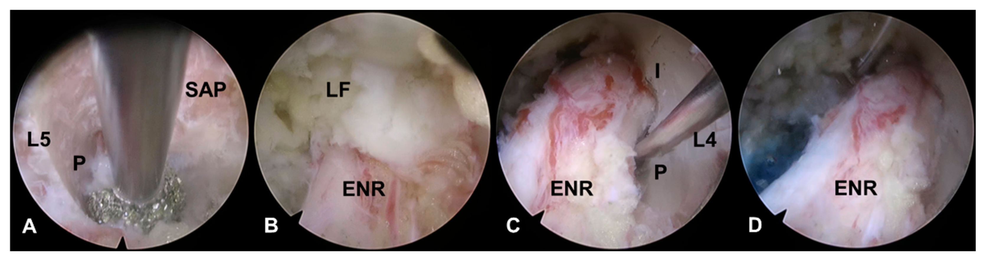 Preprints 171078 g003