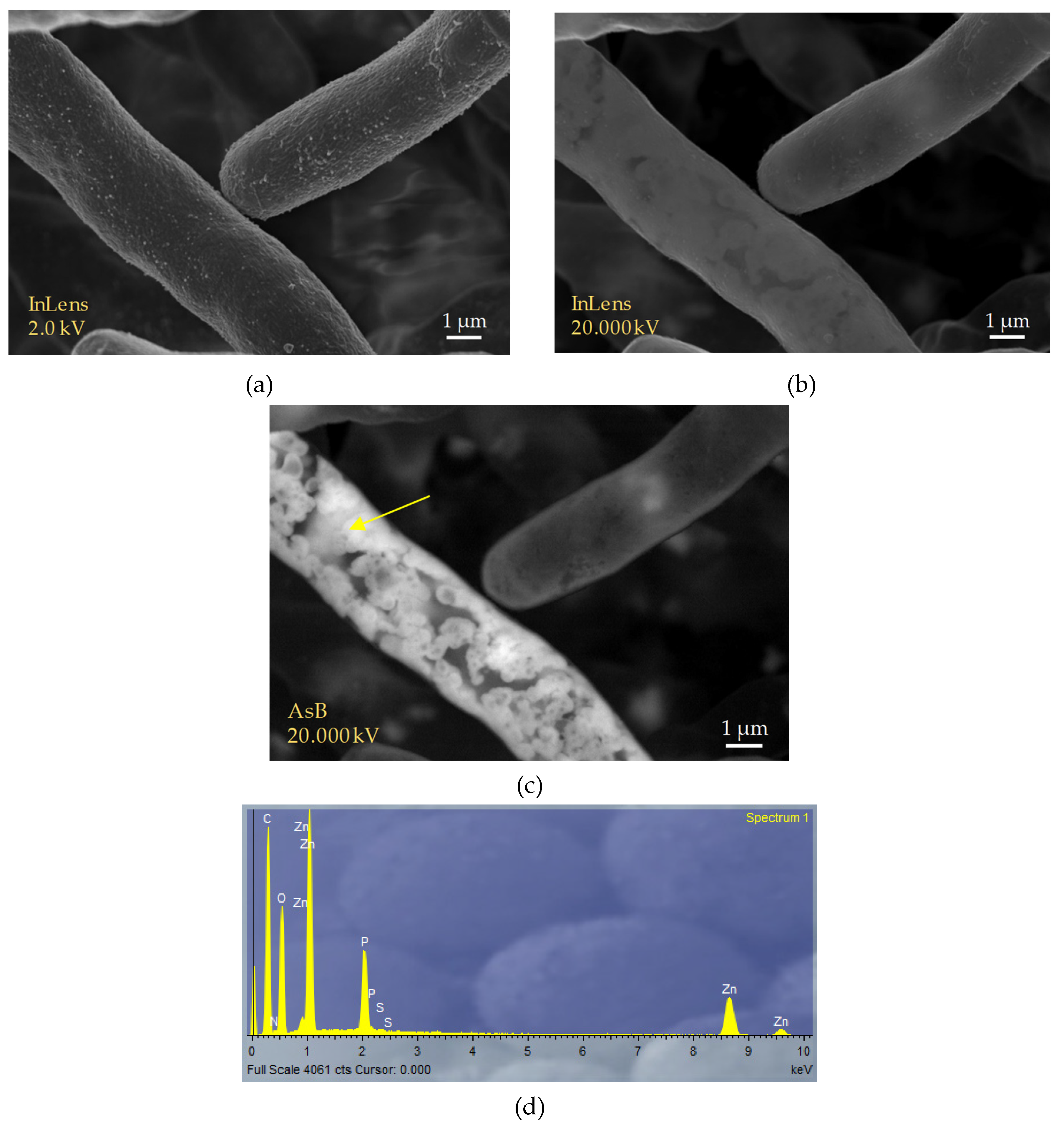 Preprints 148481 g004