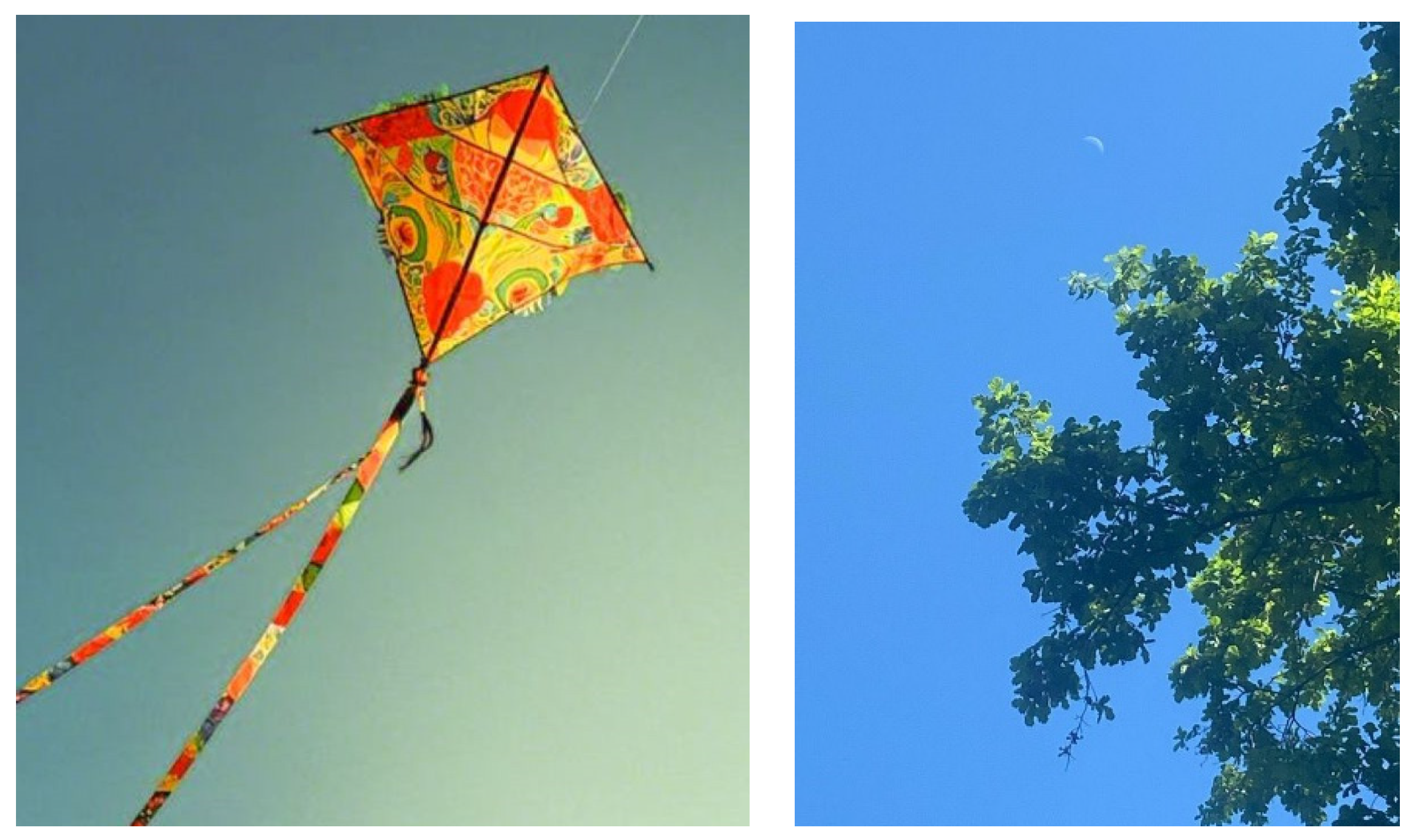 Preprints 177473 g002