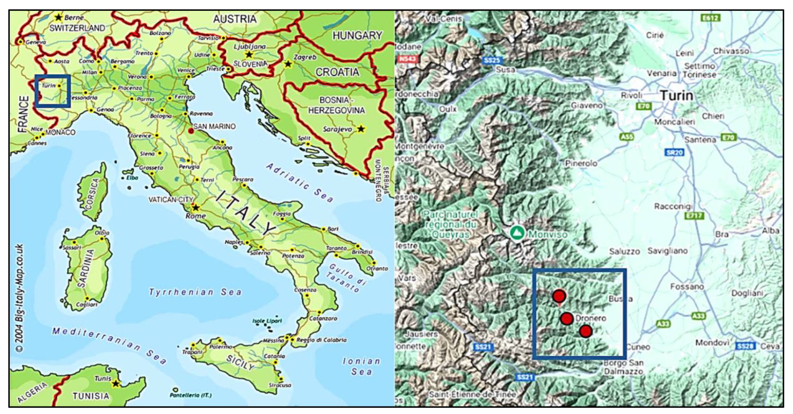 Preprints 144327 g009