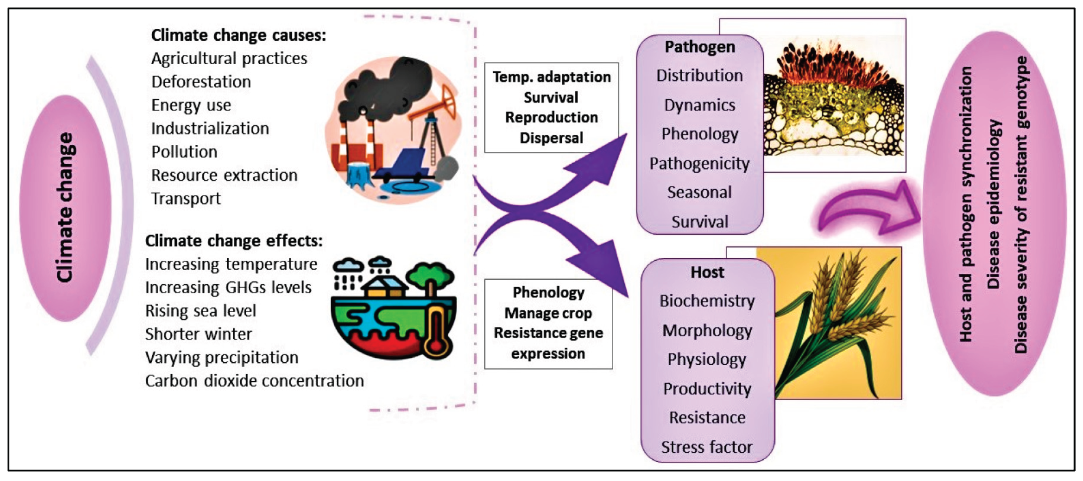 Preprints 159576 g001