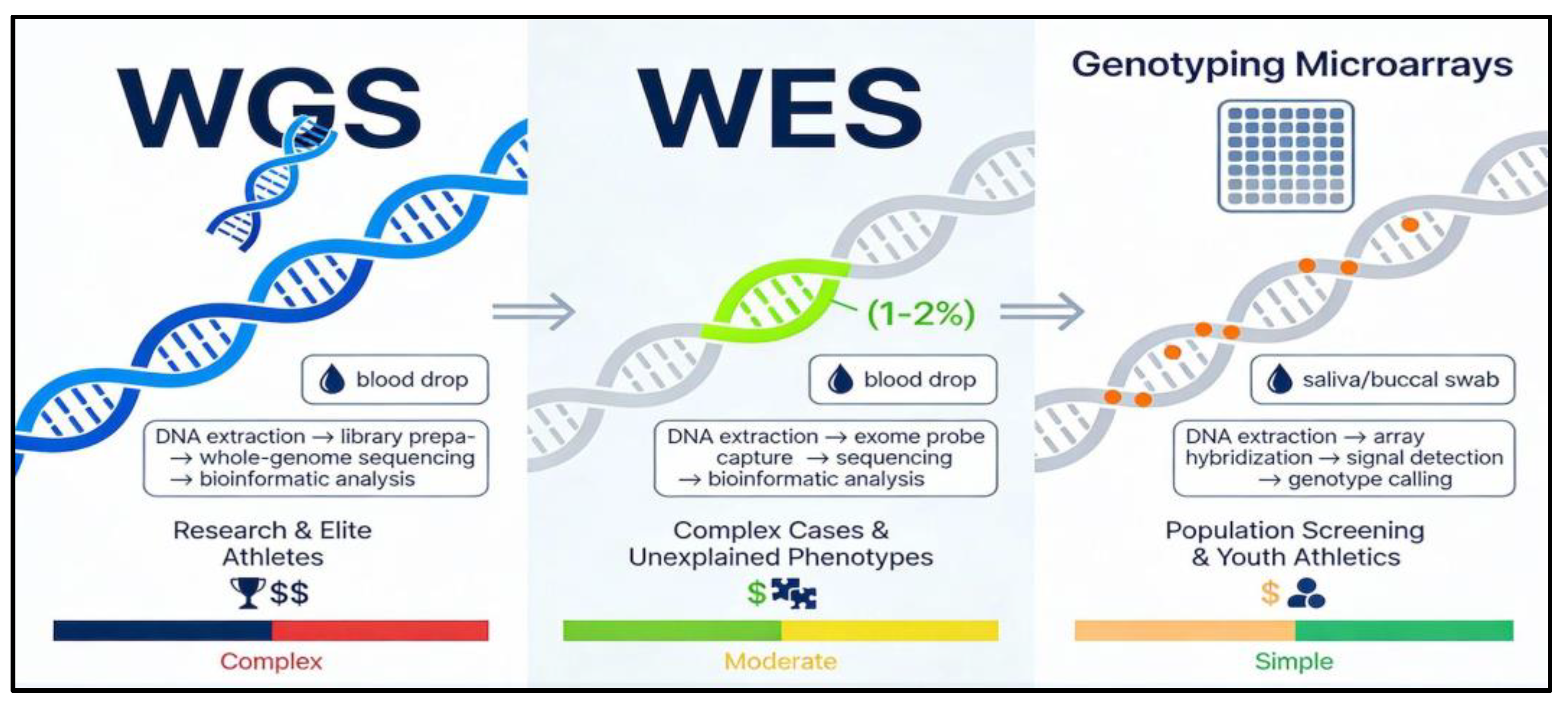 Preprints 193126 g002