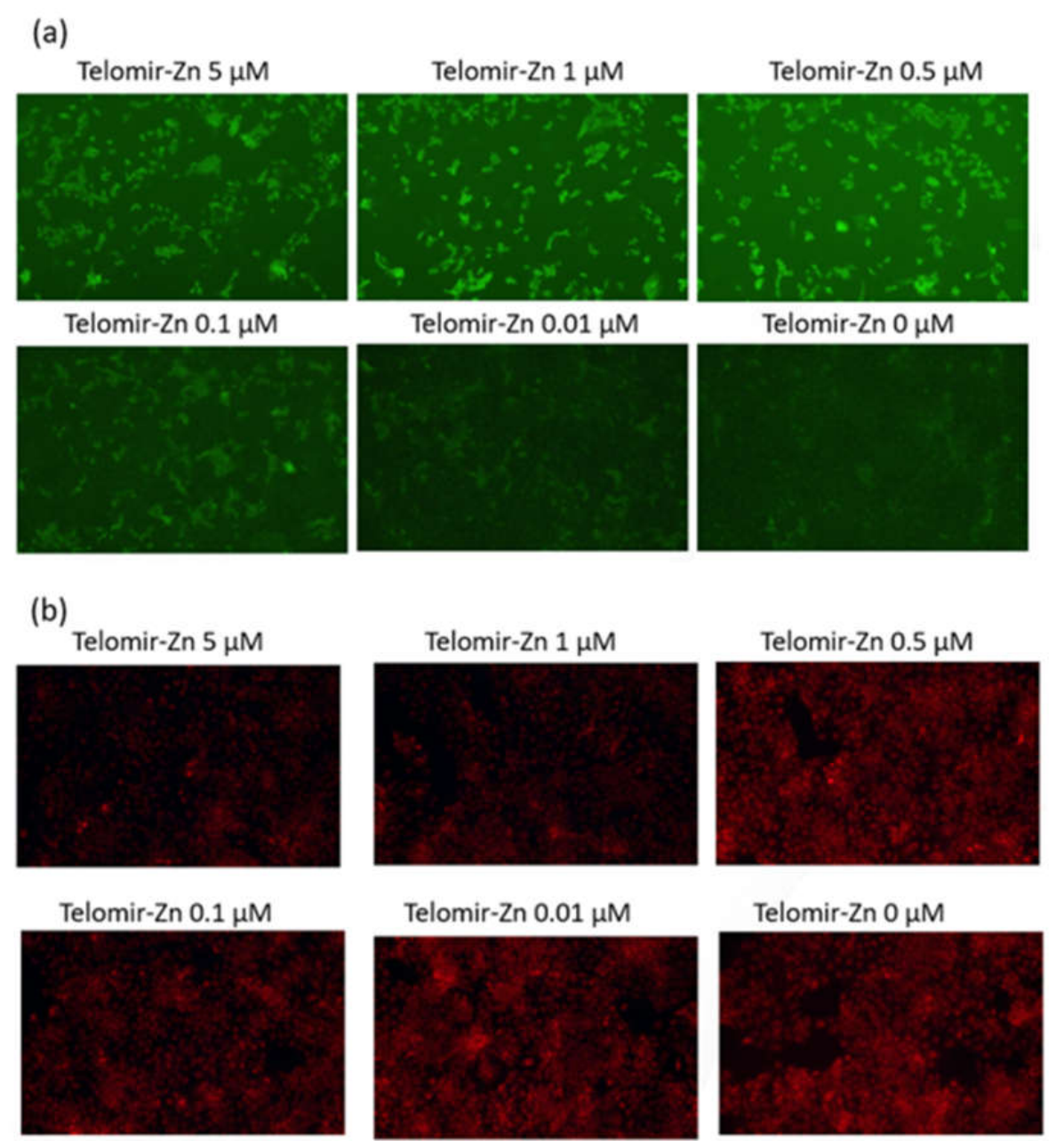Preprints 222428 g002