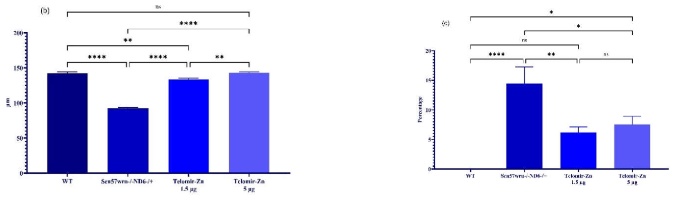 Preprints 222428 g004b