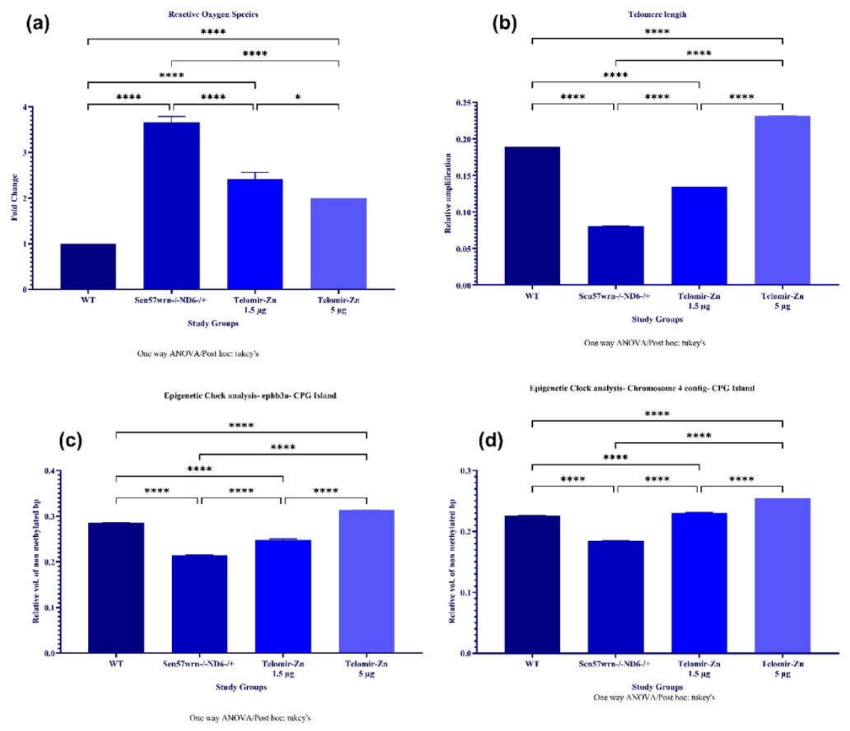 Preprints 222428 g005a