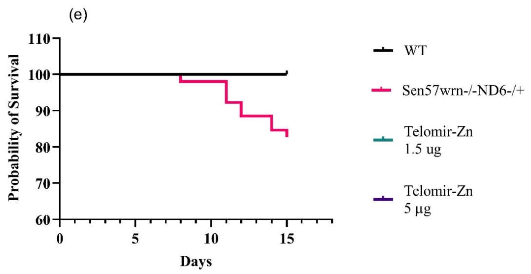 Preprints 222428 g005b