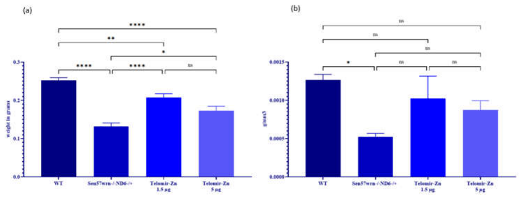 Preprints 222428 g006