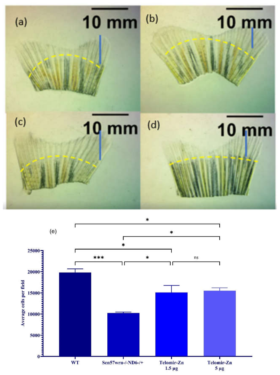 Preprints 222428 g007