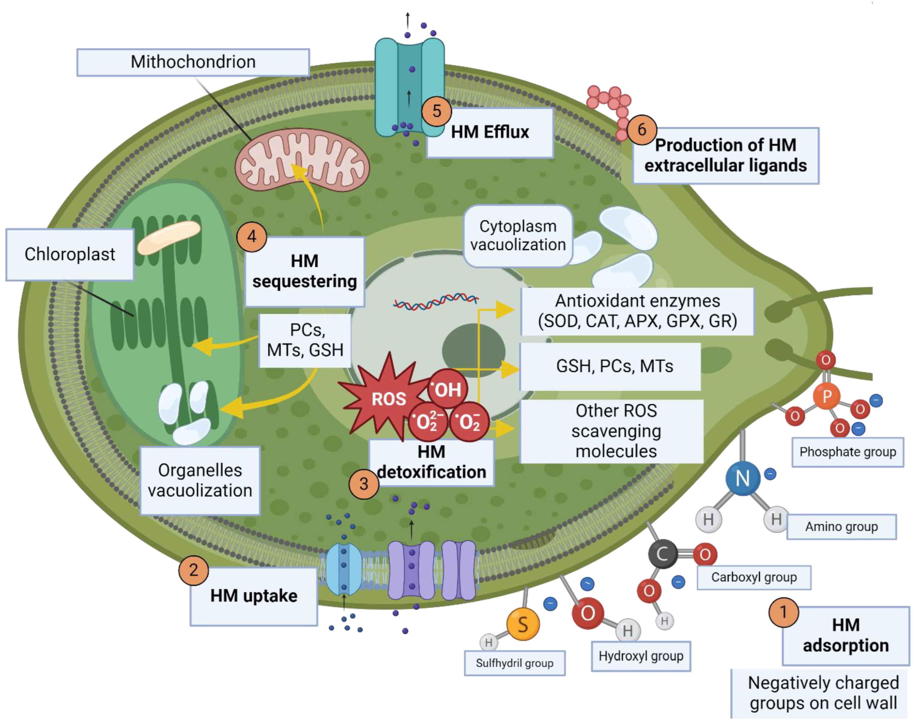 Preprints 153222 g003