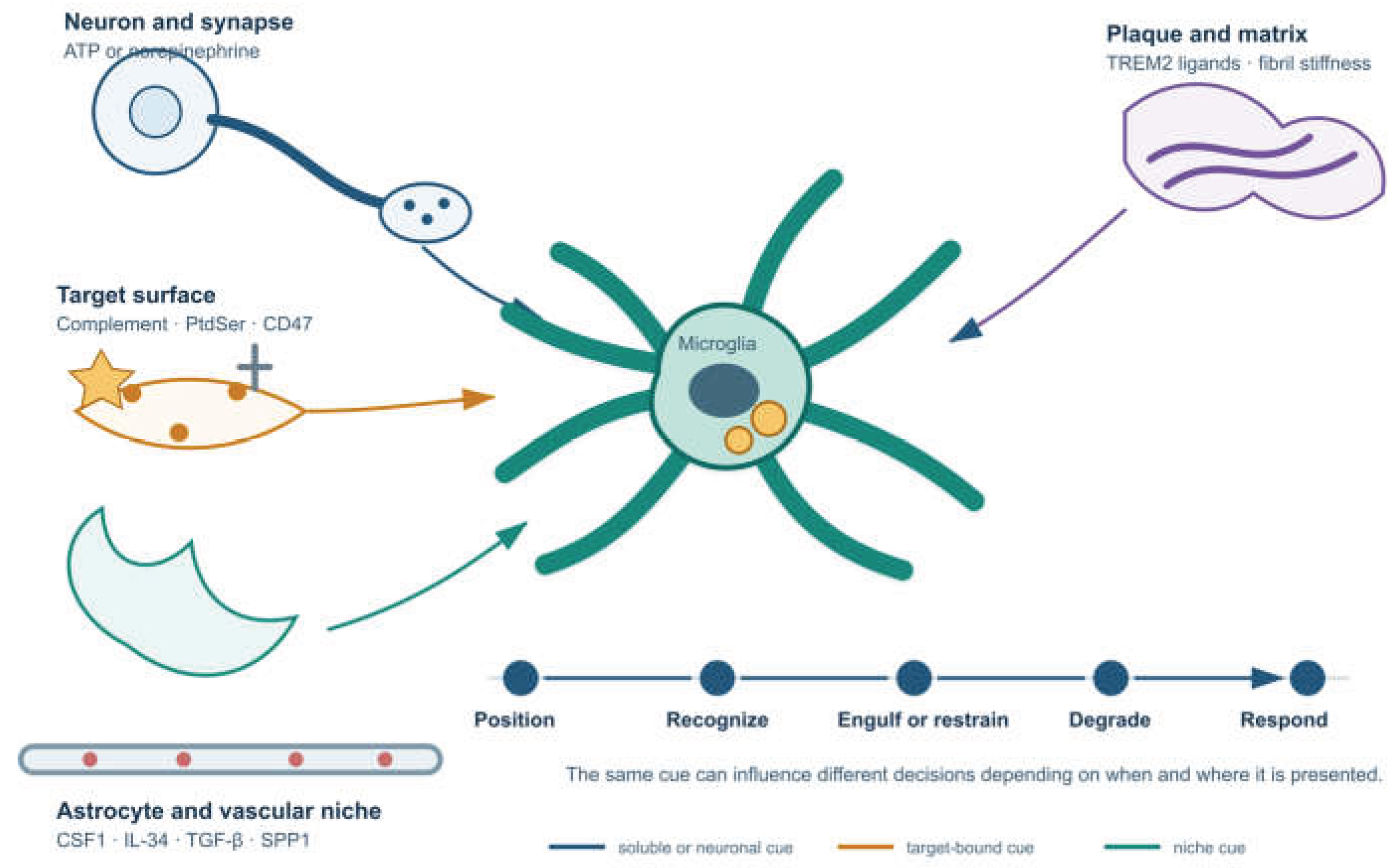 Preprints 232093 g001 Preprints 232093 g001