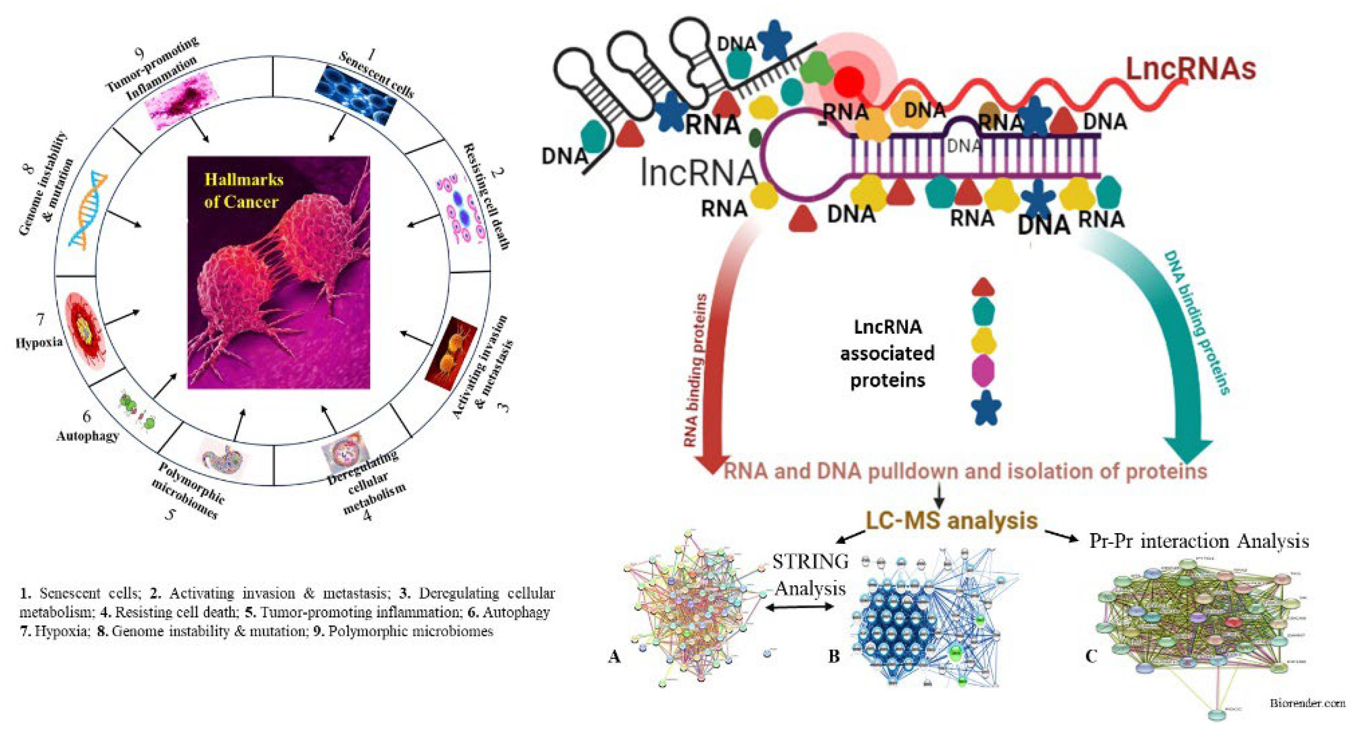 Preprints 137511 g001