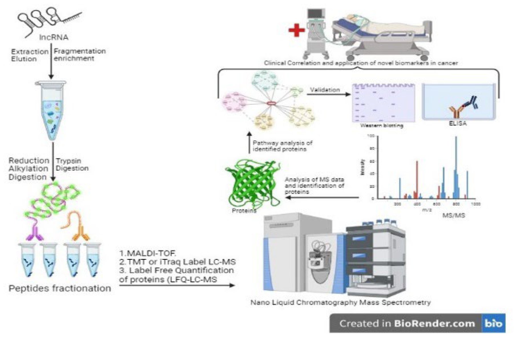 Preprints 137511 g002