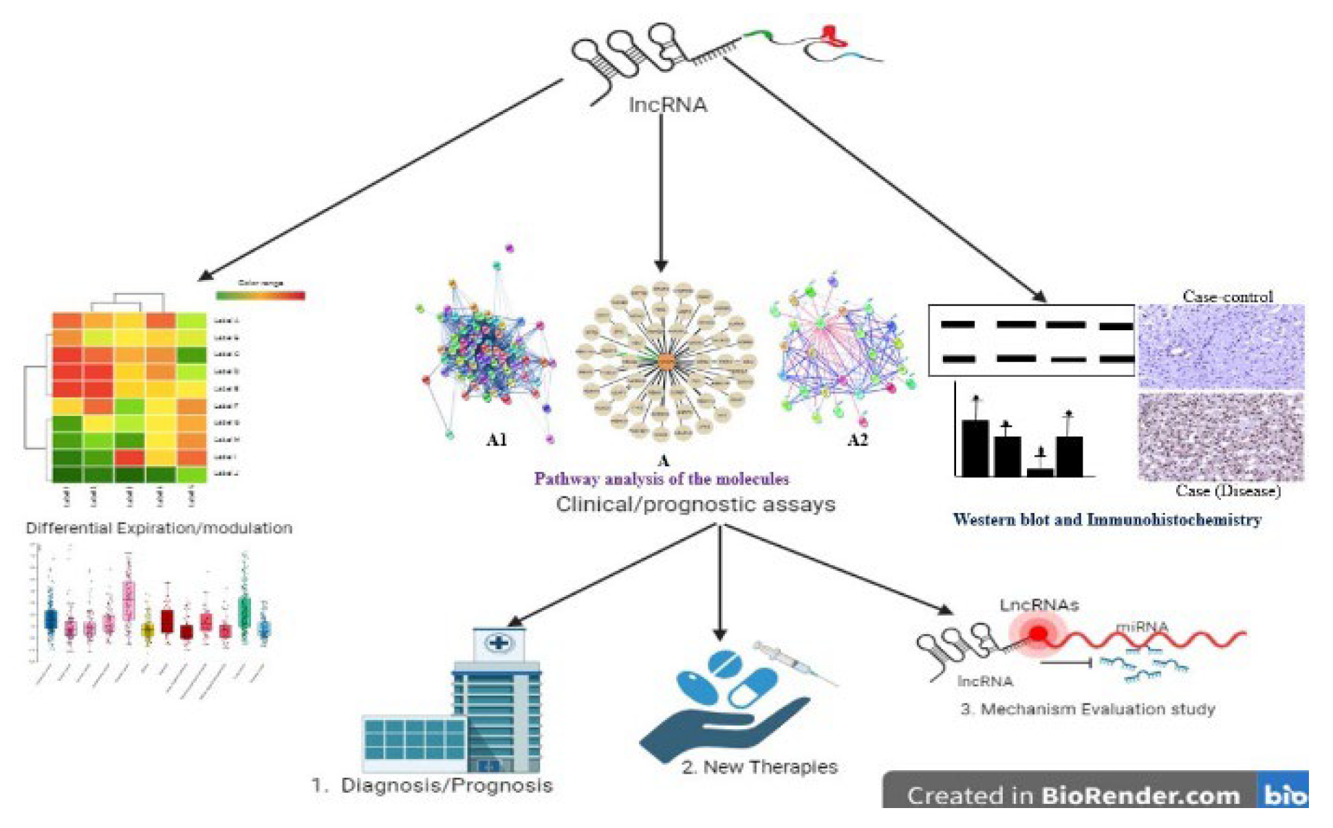 Preprints 137511 g003
