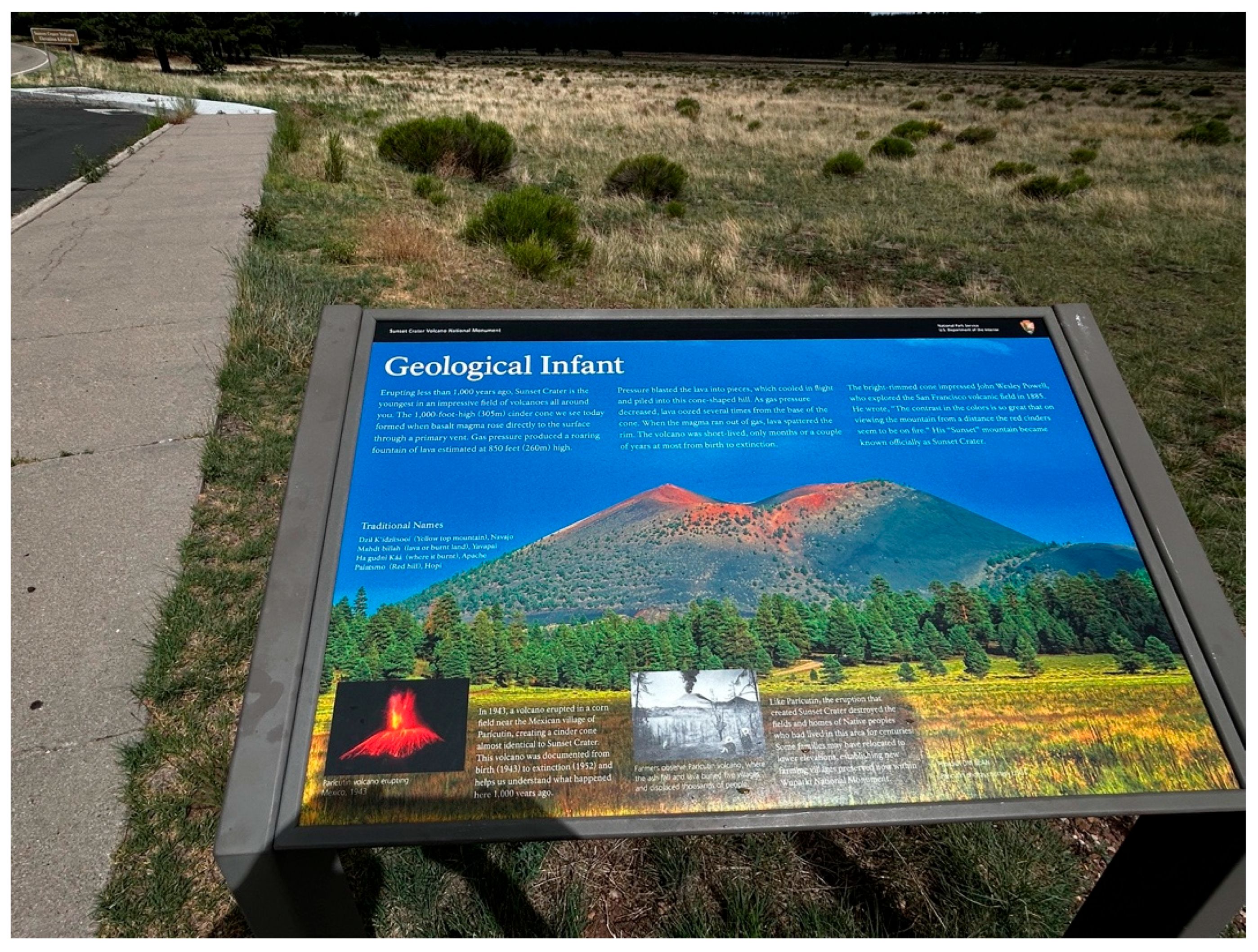 Preprints 190680 g002