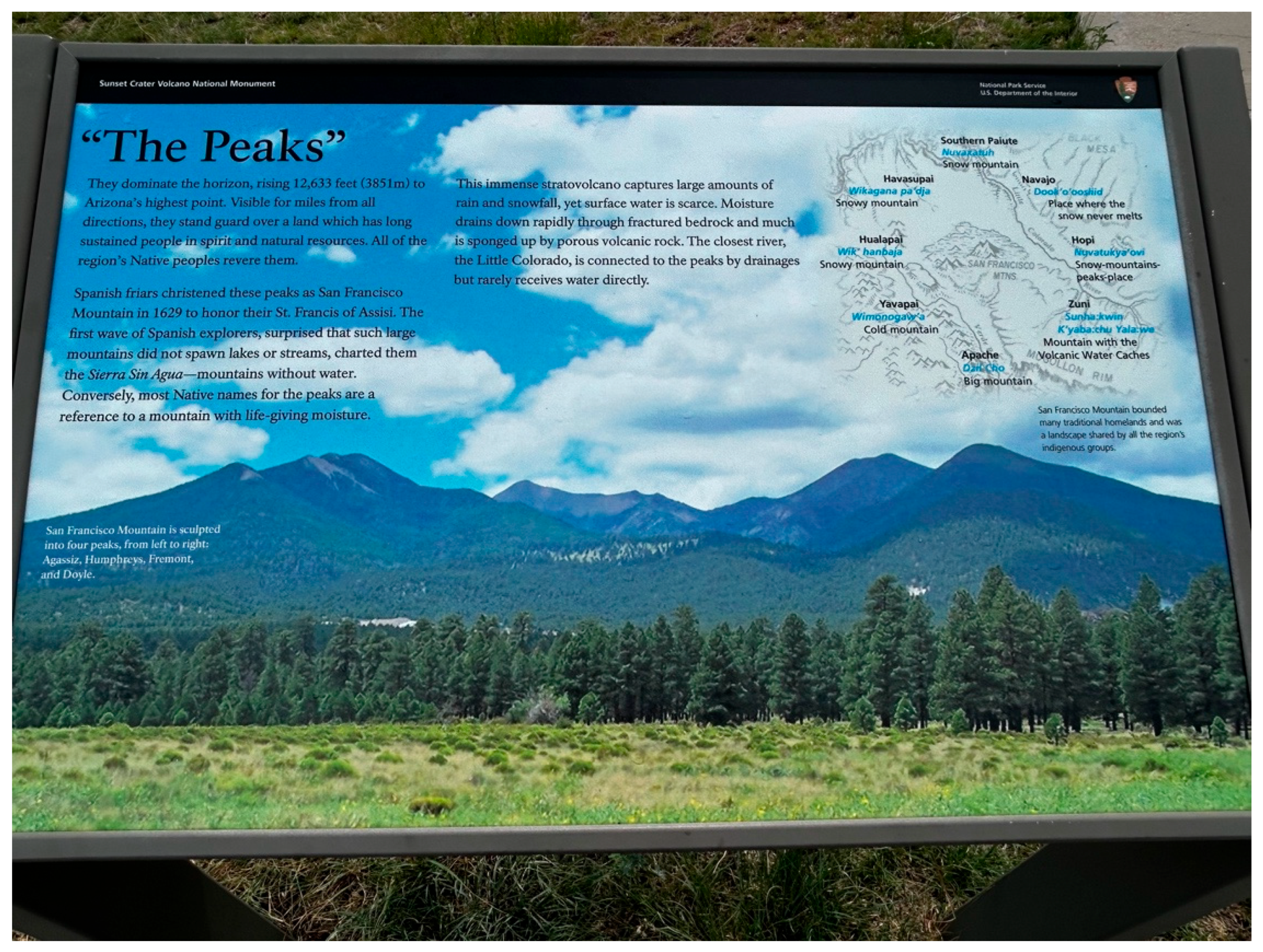 Preprints 190680 g003