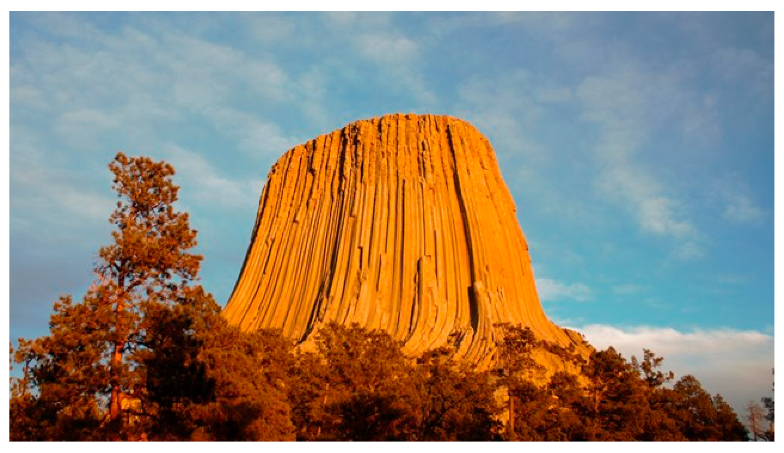 Preprints 190680 g005