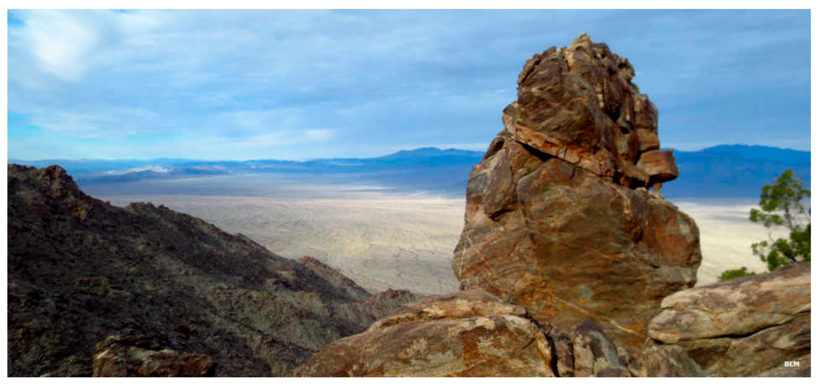 Preprints 190680 g009